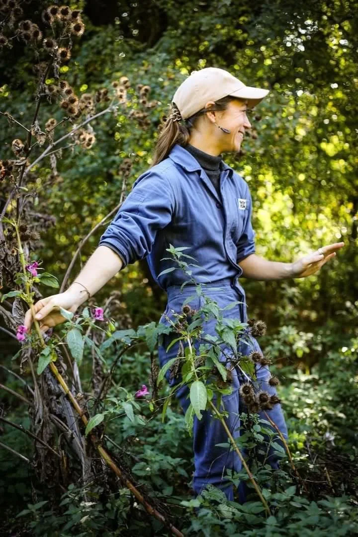 Autumn Foraging & Botanical Printmaking Workshop