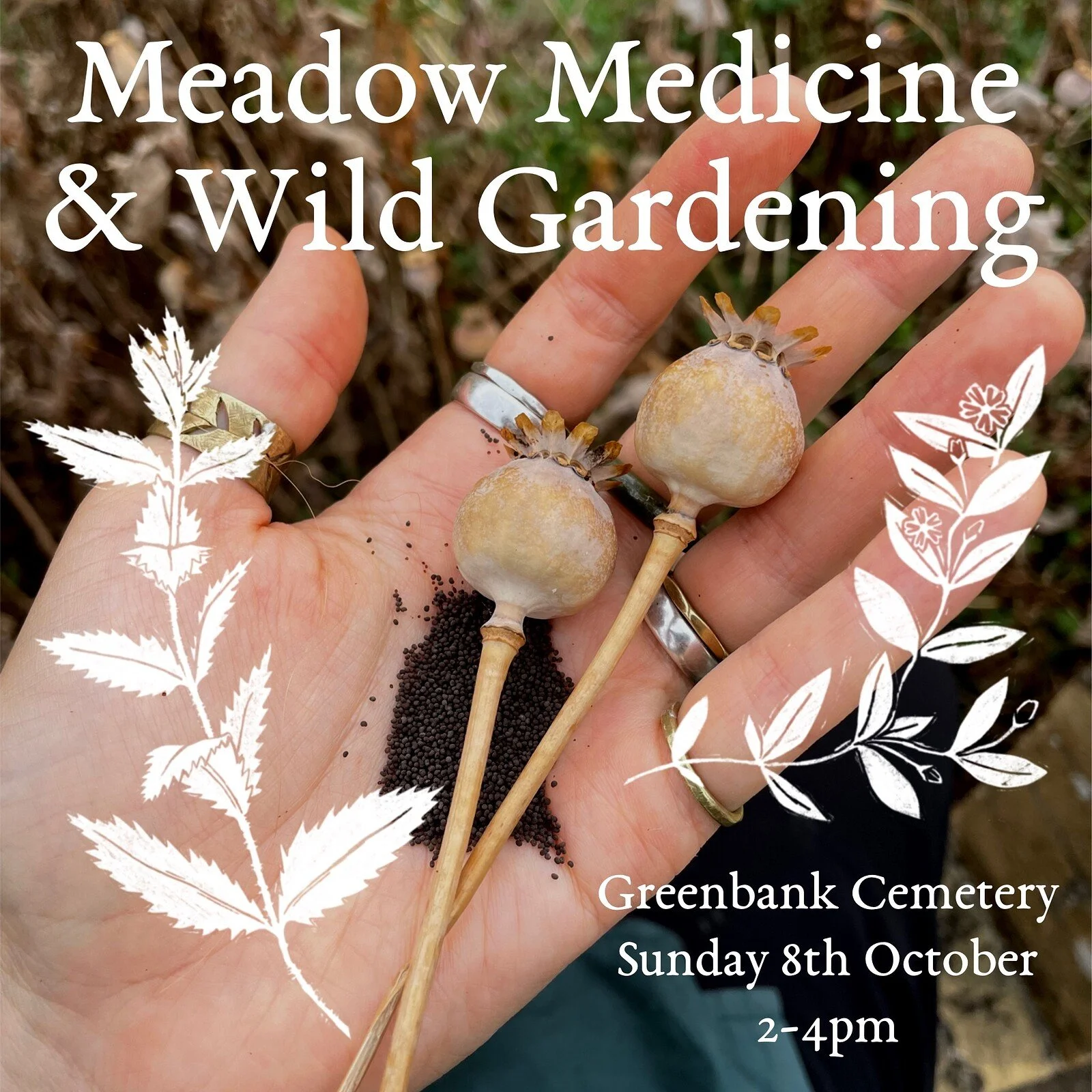 Creative Foraging: Meadow Medicine, Wild Gardening