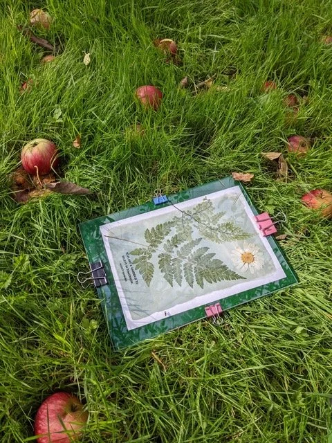 PXL_20220918_140358692 copy.jpeg