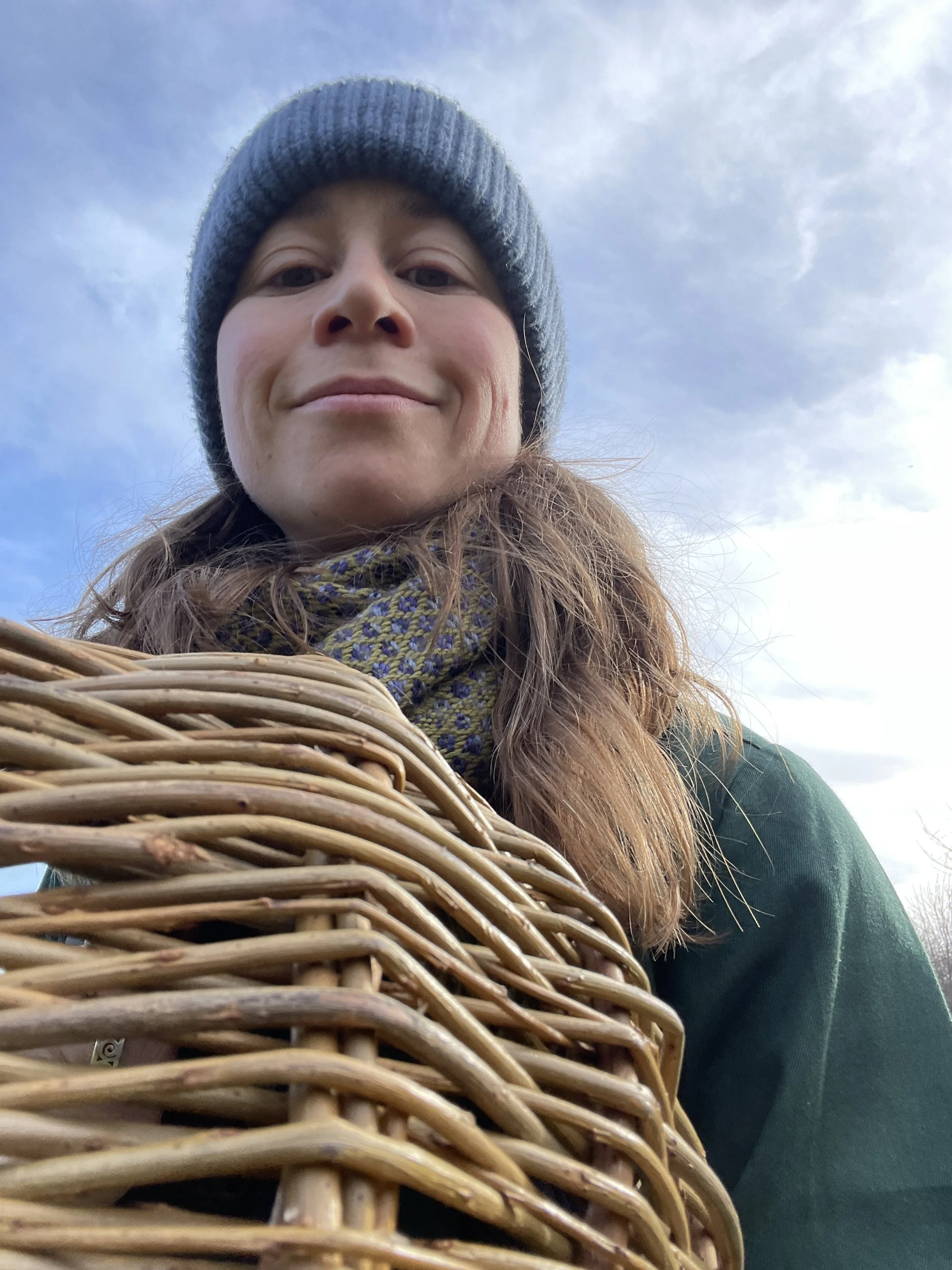 Festival of Nature 2025 : Wild Edible Plants of Brandon Hill