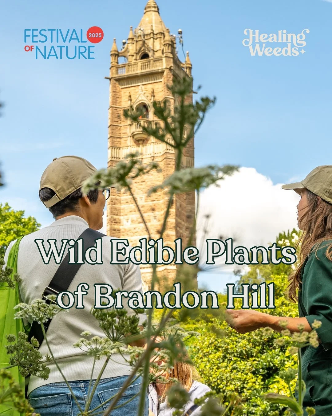 Some snaps of last month&rsquo;s Wild Plants of Brandon Hill as part of the Festival of Nature 🦋 

We found so many leaves, flowers and seeds full of new smells and old medicine and everyone shared different ways they engage with wild plants and the