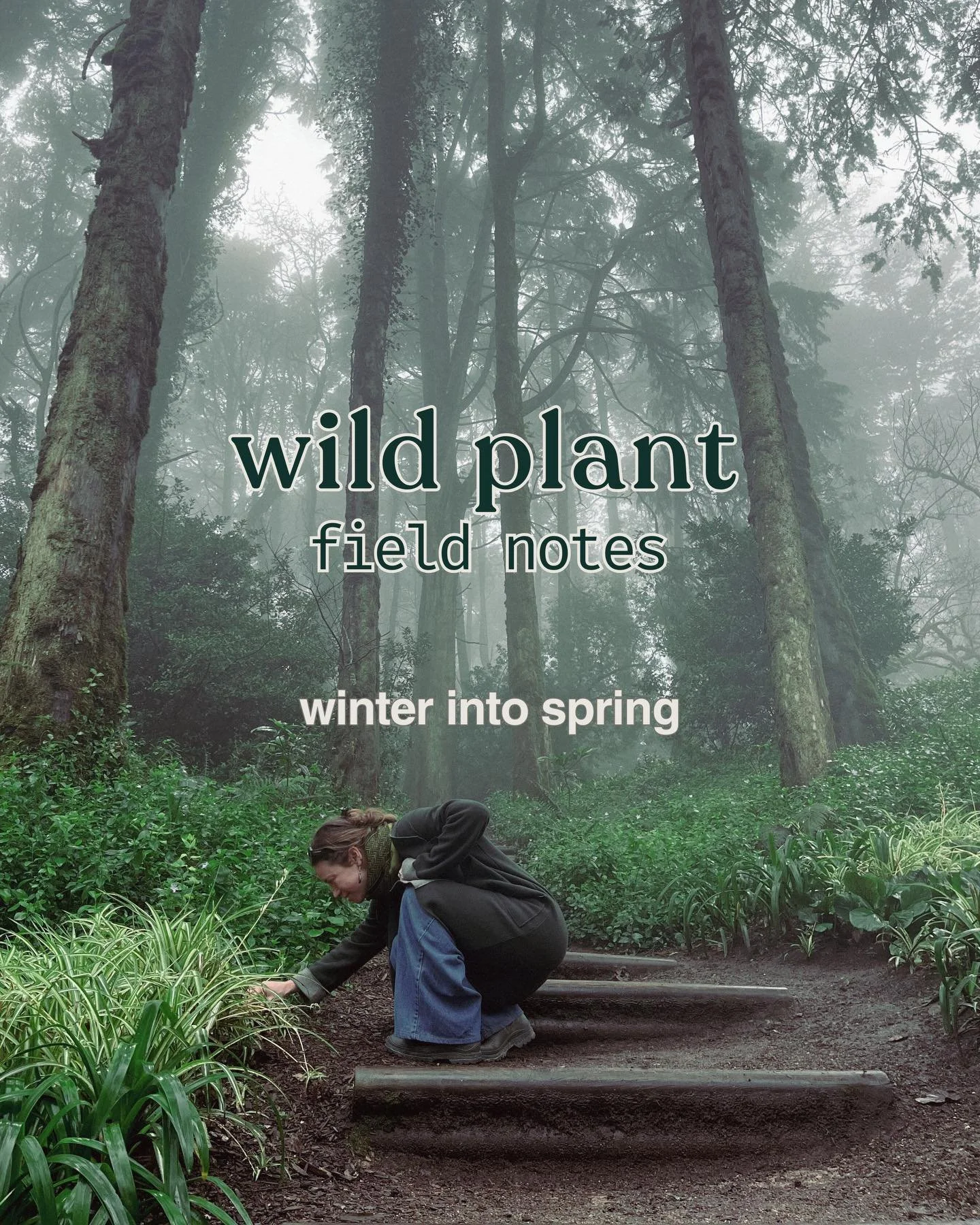 One thing that will never change is our mission to make learning about wild medicinal plants feel easy for everyone 🌾

So our signature toolkits (that we send out after every session) are changing form and becoming year-long *wild plant field notes*