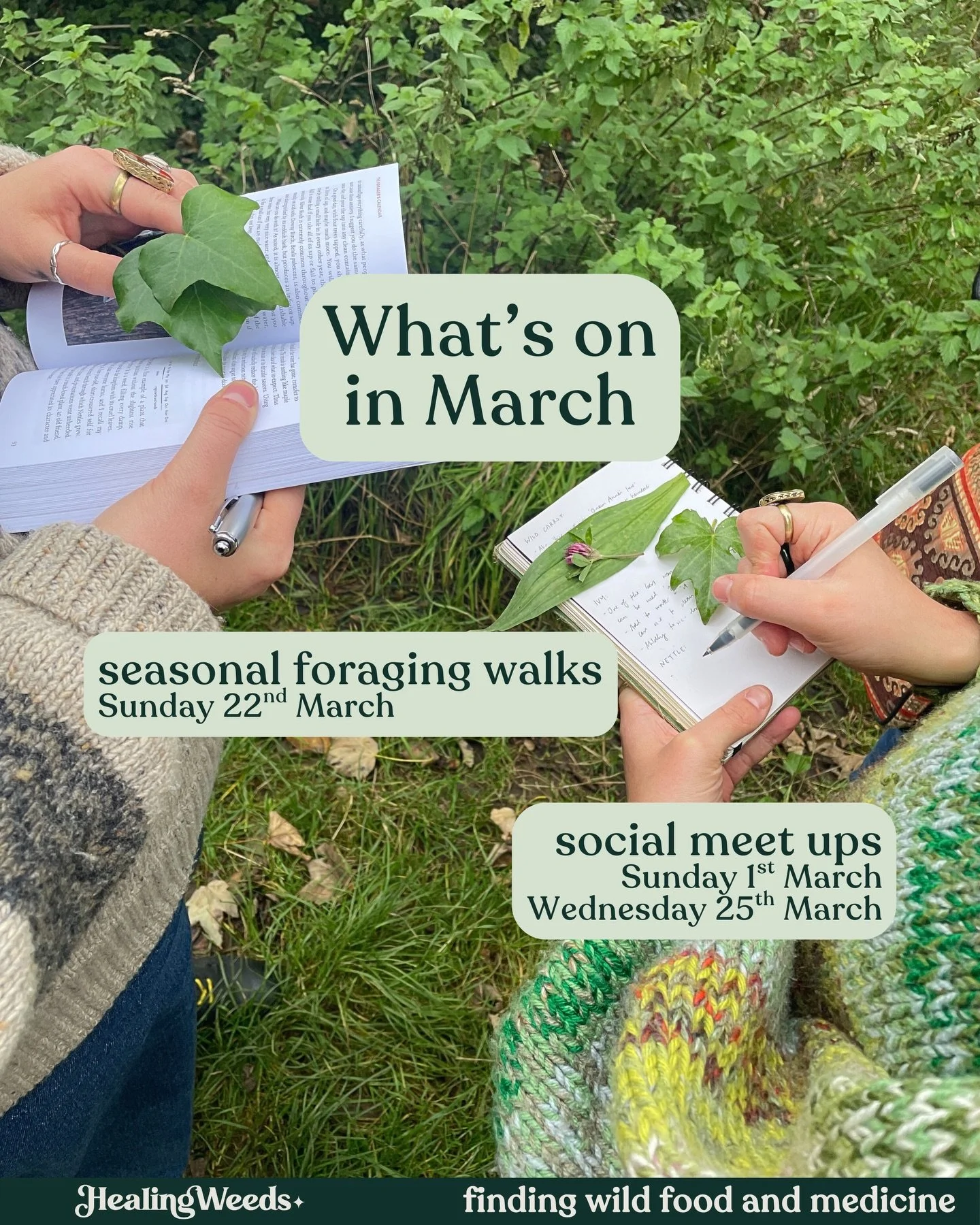 Cannot wait to be outside with you all this month; tasting cherry blossoms + hawthorn buds straight from the trees - and ofc smelling those first *tiny* wild garlic leaves 🌞

Secure your spot for our upcoming sessions on our website 🪲 www.healingwe