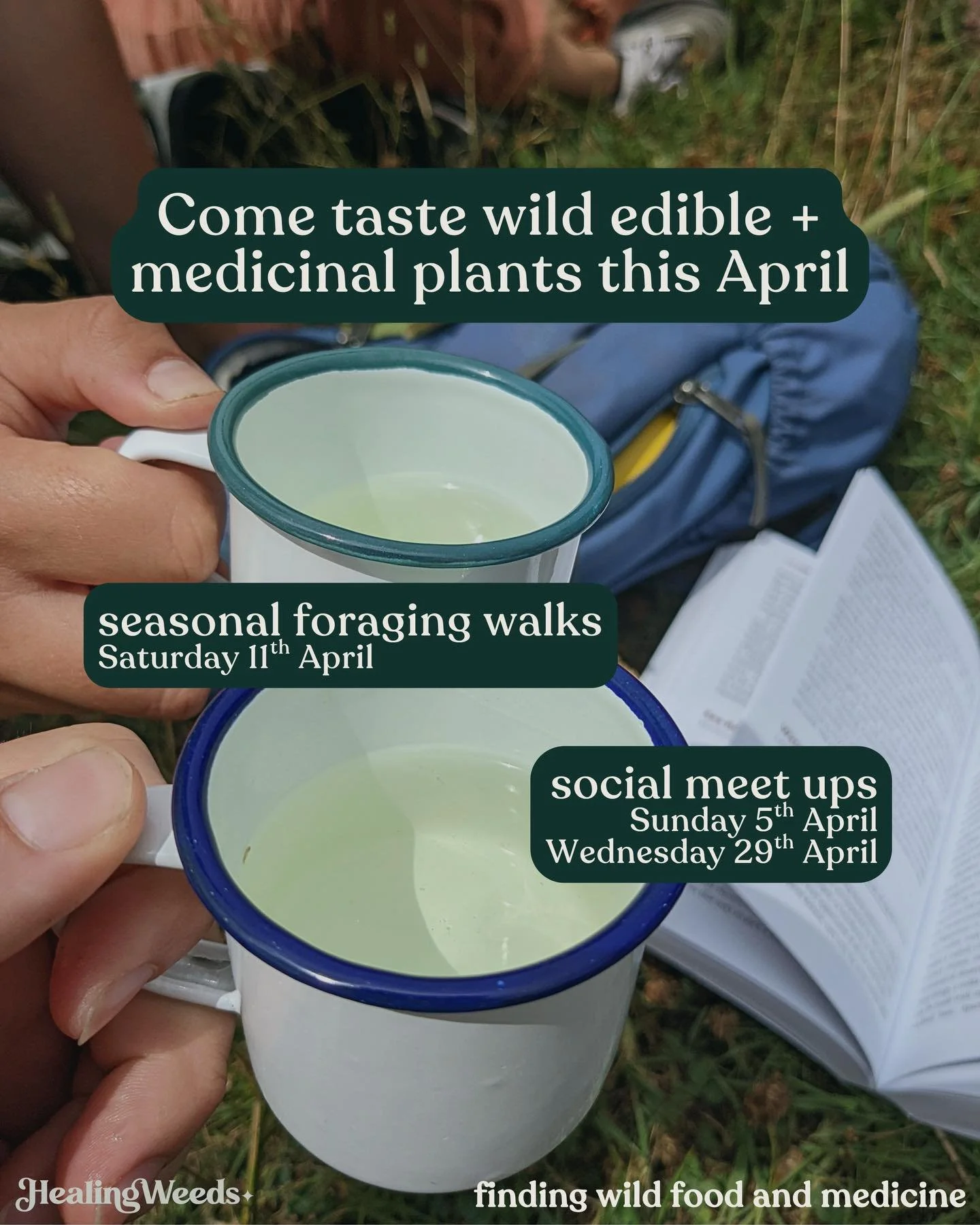 Aries season always means spicy aromatic plants ♈︎♈︎♈︎ and an unstoppable force bursting up from the ground, dyyyyu see it yet?

Join us outside next month! We are gonna touch, smell and TASTE the spiciness around us 🍵🌶️🌿🍋; a seasonal deep-dive i