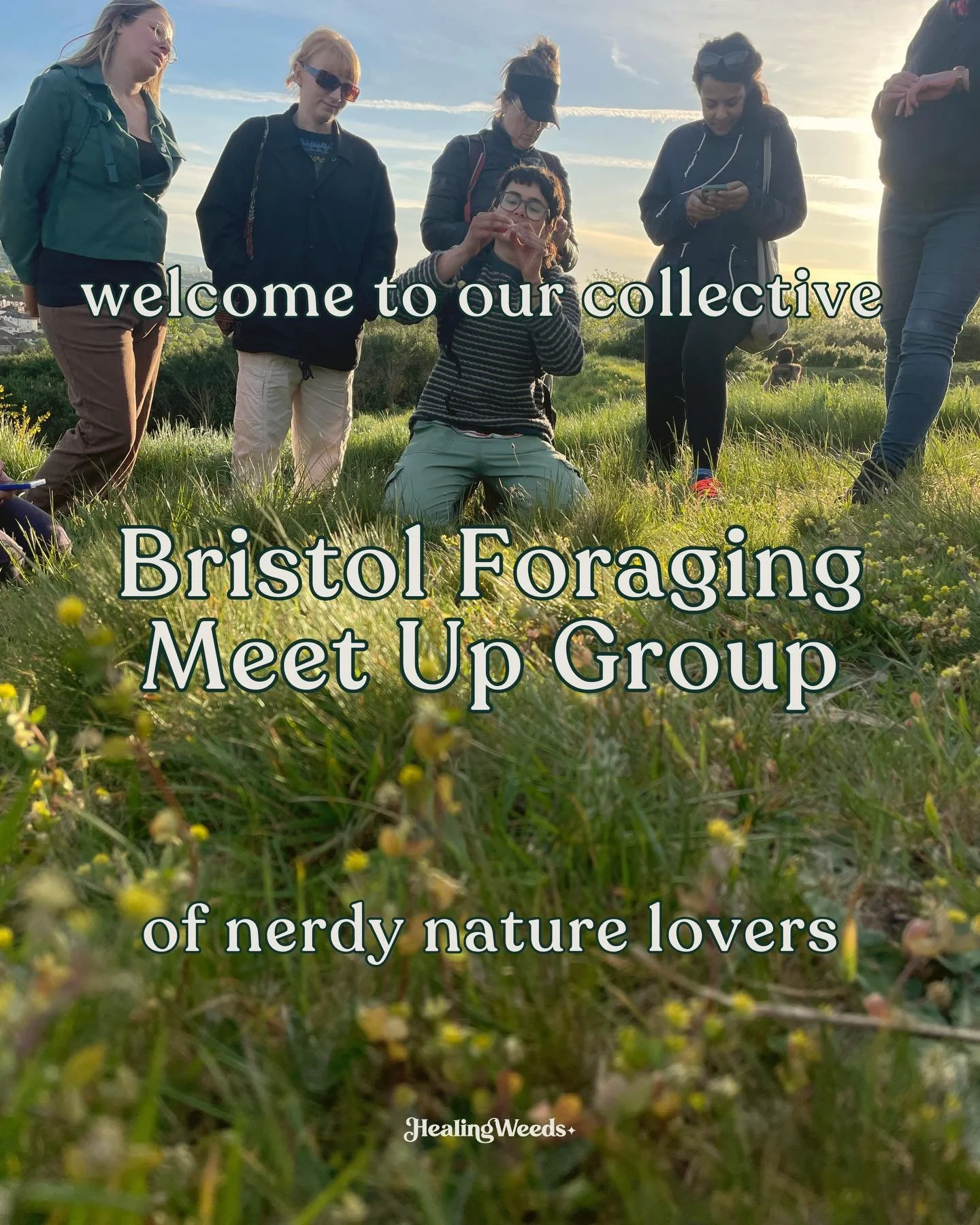 If you&rsquo;re tired of being a plant nerd by yourself and you want to expand your knowledge, come join us! 

We created this group to connect with other nature lovers and share what we&rsquo;ve learned with each other. 

Over 6 years, we&rsquo;ve g