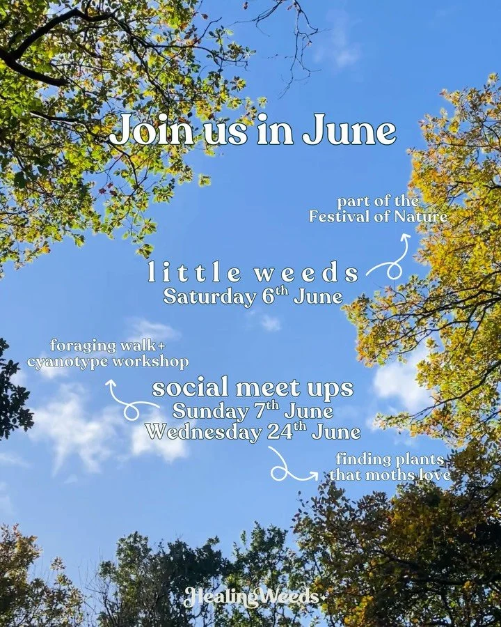 Not that you need an excuse, but June is for celebratinggg. We&rsquo;re getting outside, together - join us! 🌱

We&rsquo;ve got some incredible collaborators next month, all highly skilled and sharing our mission to reconnect people with joy and con