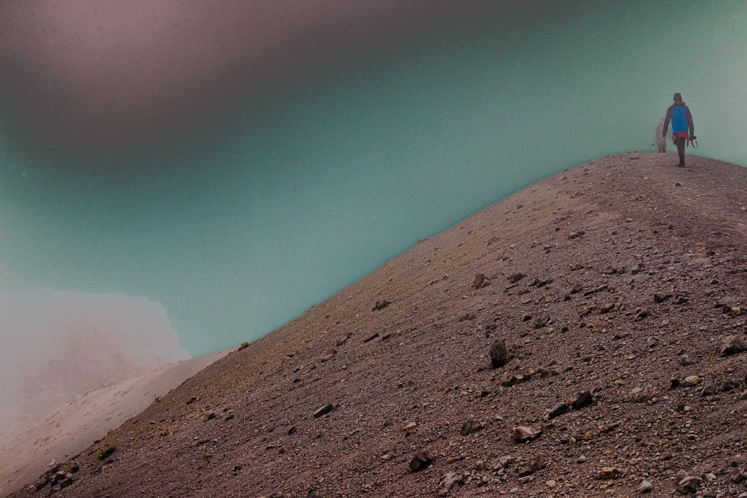 EDSC_5260-2.jpg