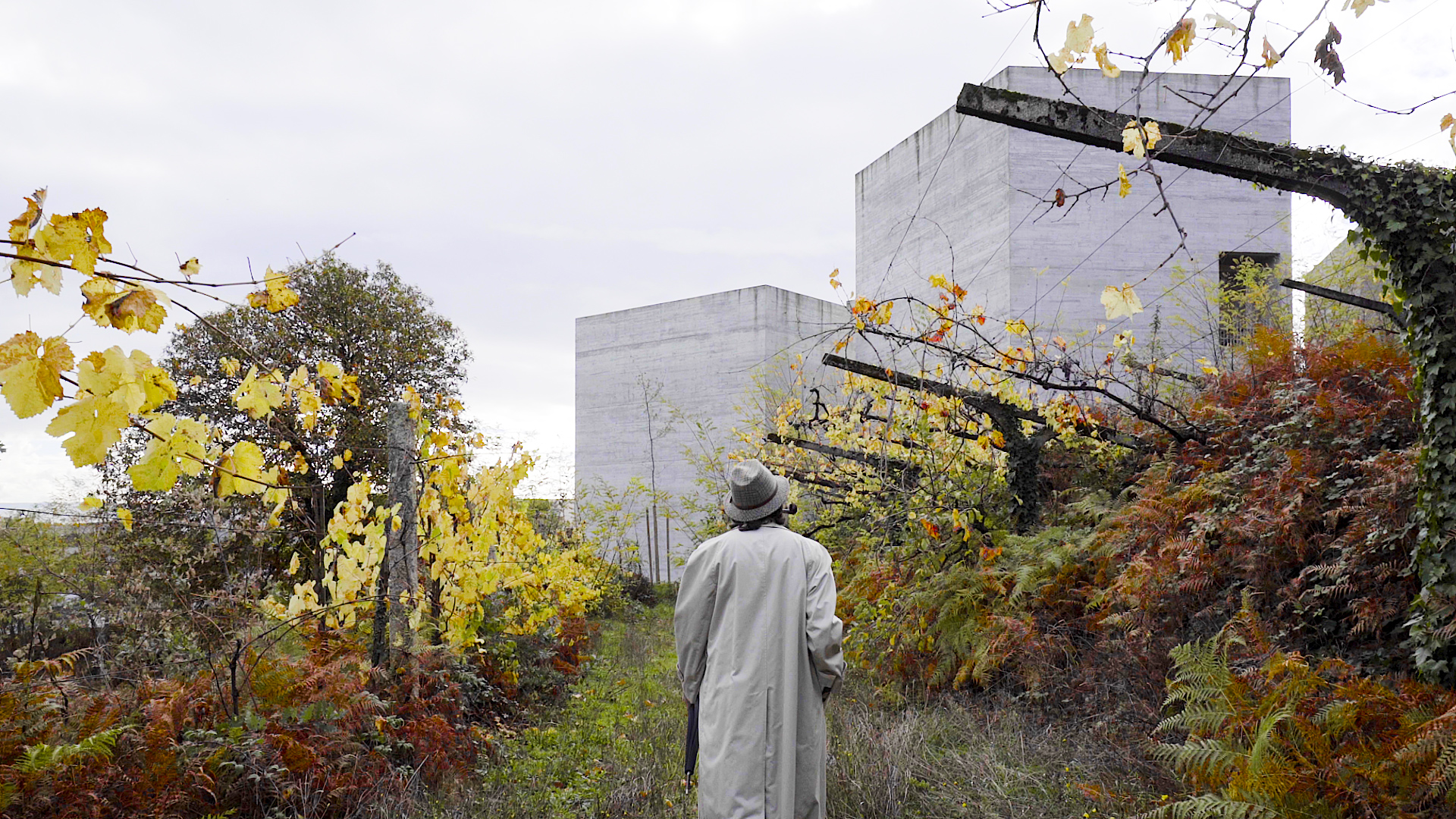 M. HULOT'S VISIT - COMING SOON