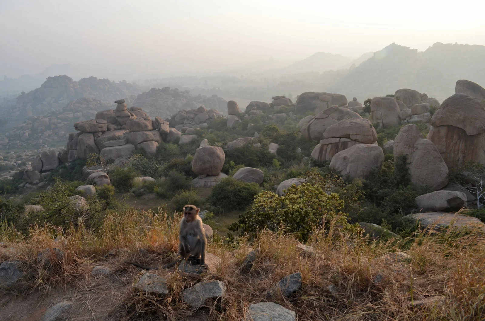 Hampi_DSC_0156.JPG
