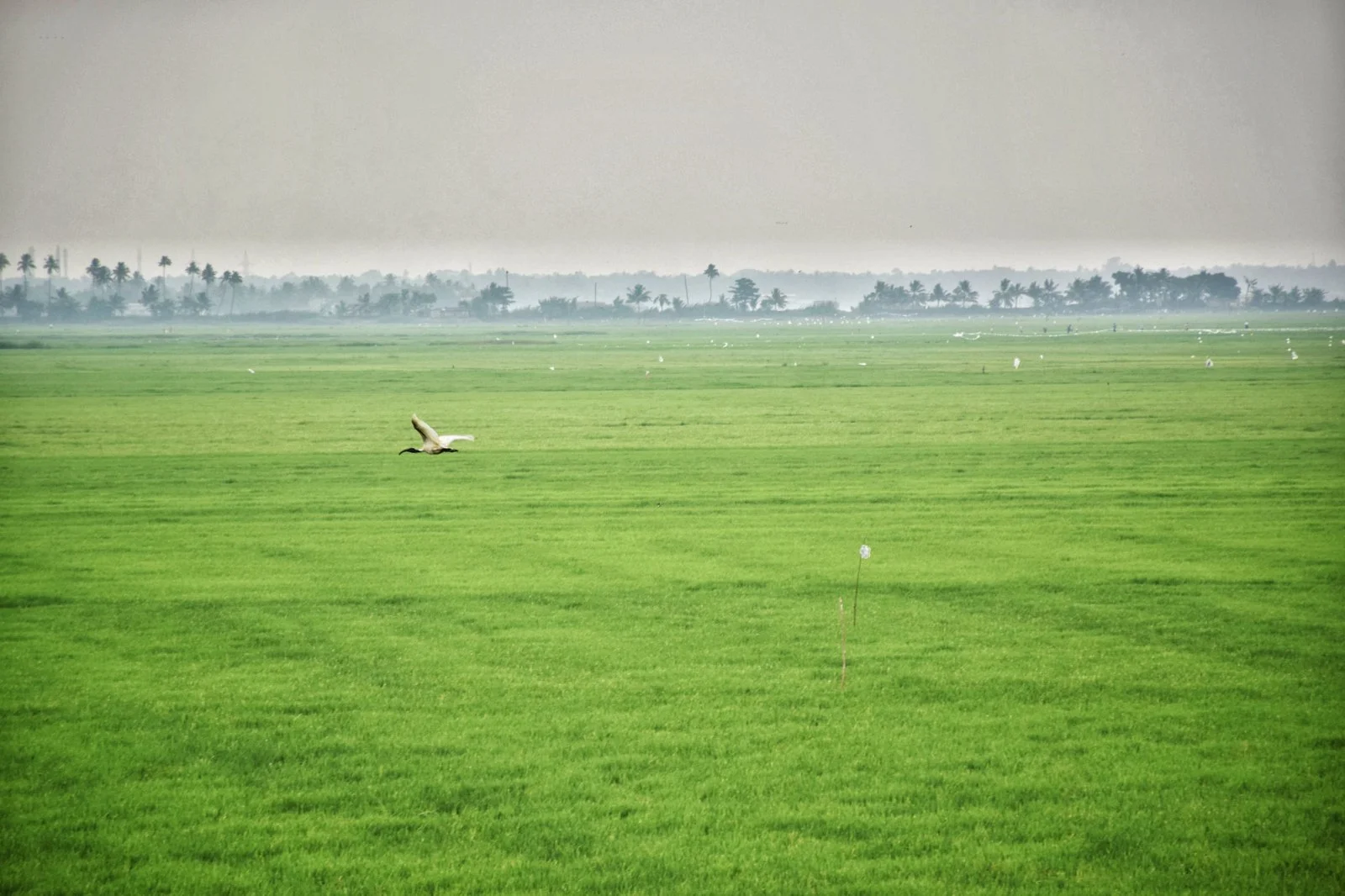 DYNAMICS OF PLACE: The Changing Geography of South India — Stepwell ...