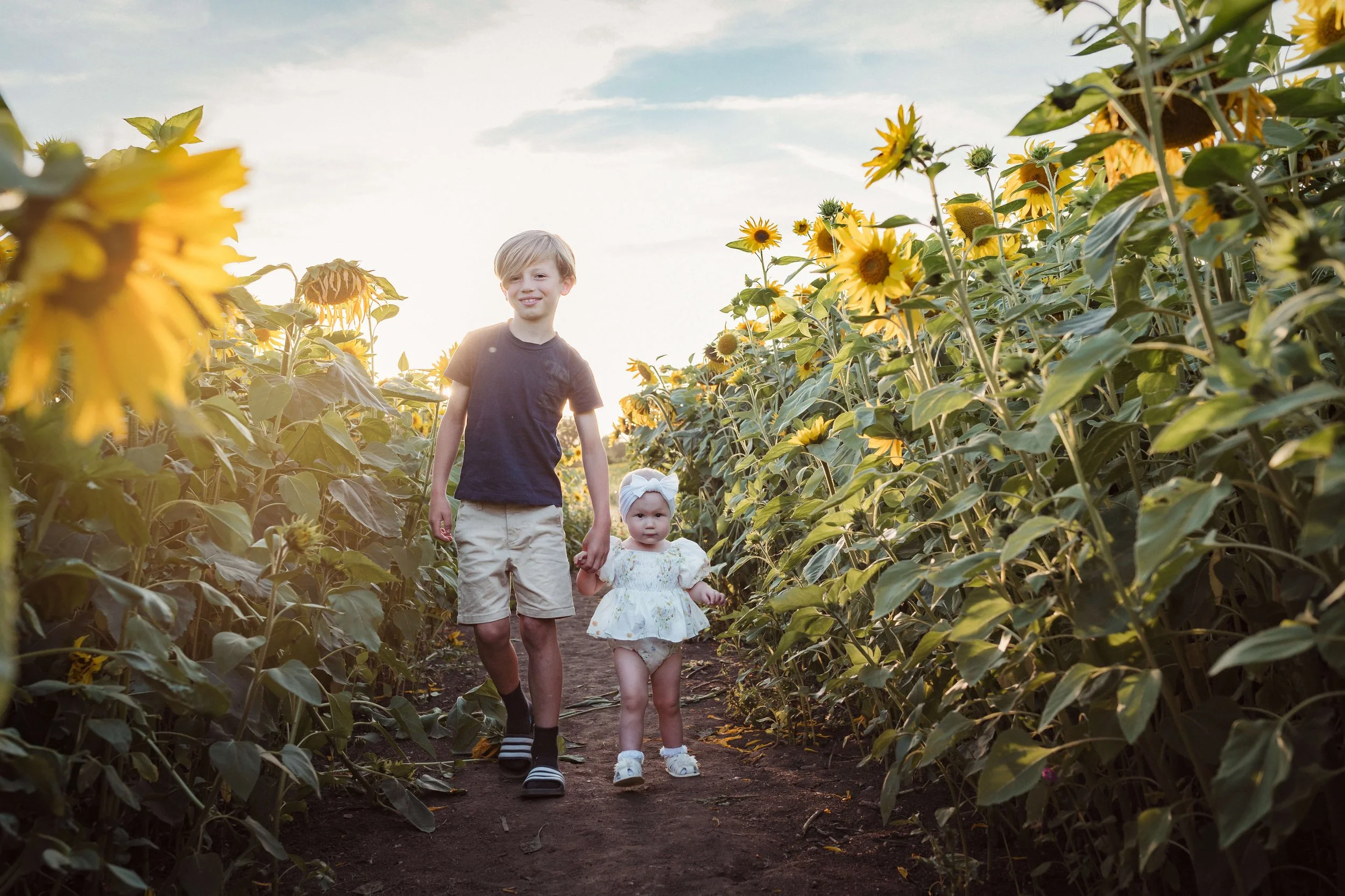 A young boy and a toddler girl walking hand in hand through a sunflower field at sunset.