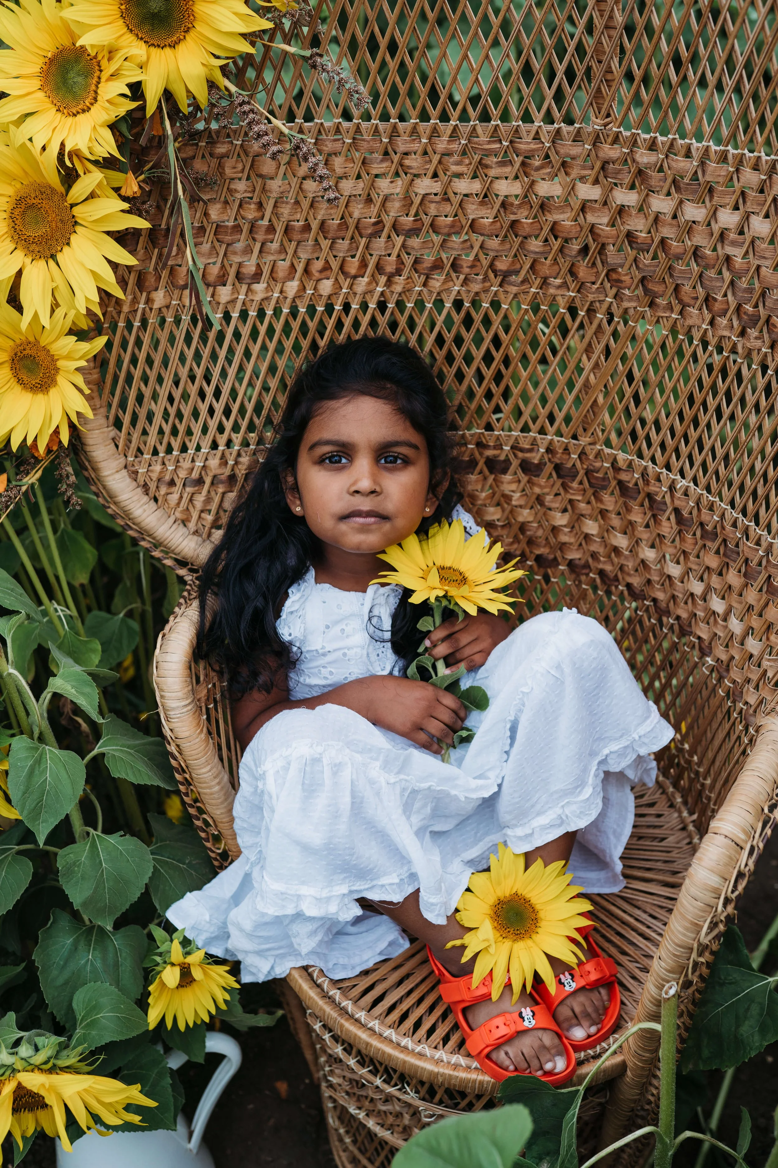 A young girl sitting in a woven wicker chair among sunflowers, holding a sunflower, dressed in a white dress with orange sandals, surrounded by sunflower plants.