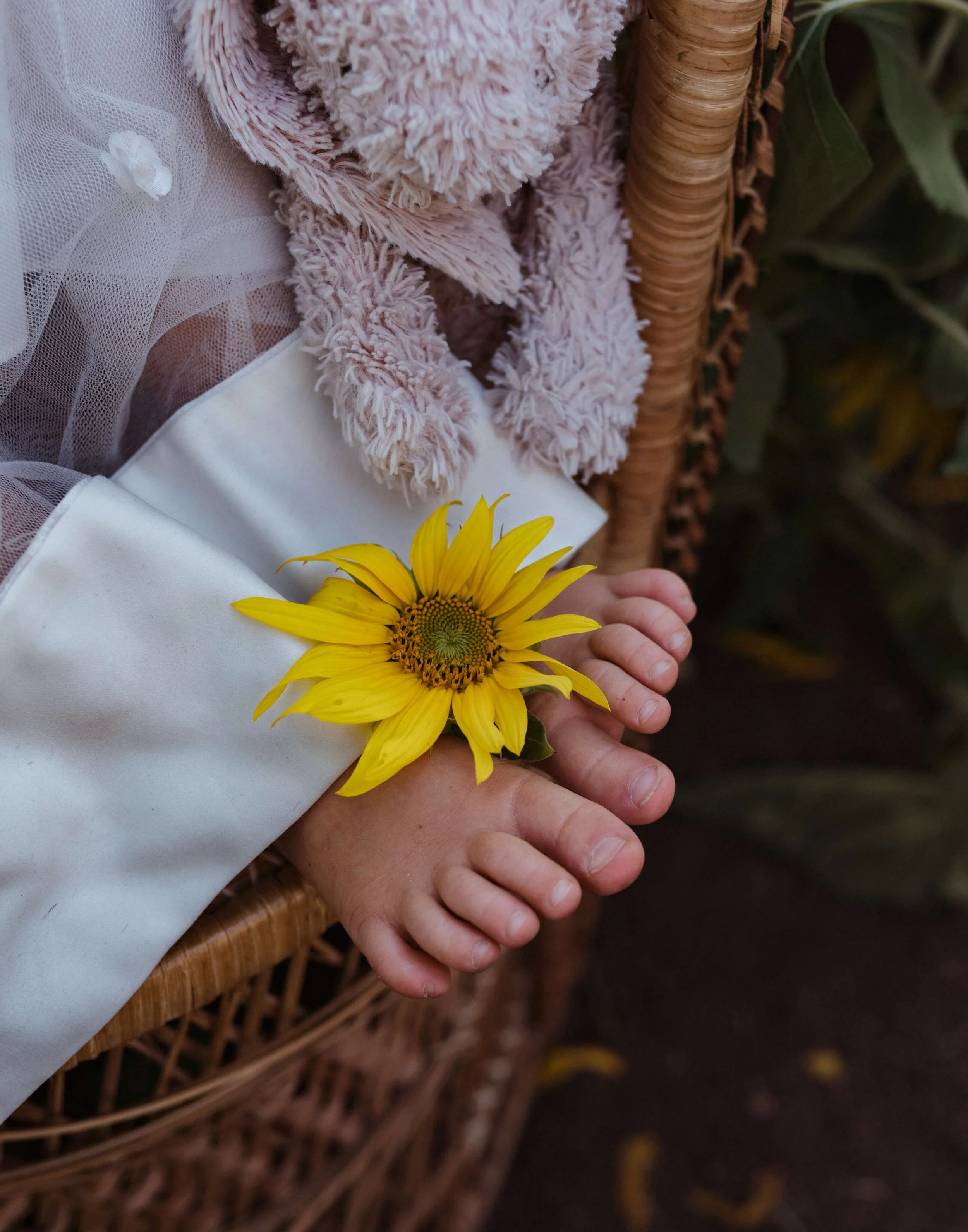 A child's hand holding a sunflower, resting on a wicker chair, with a pink stuffed animal and soft pink blanket nearby.