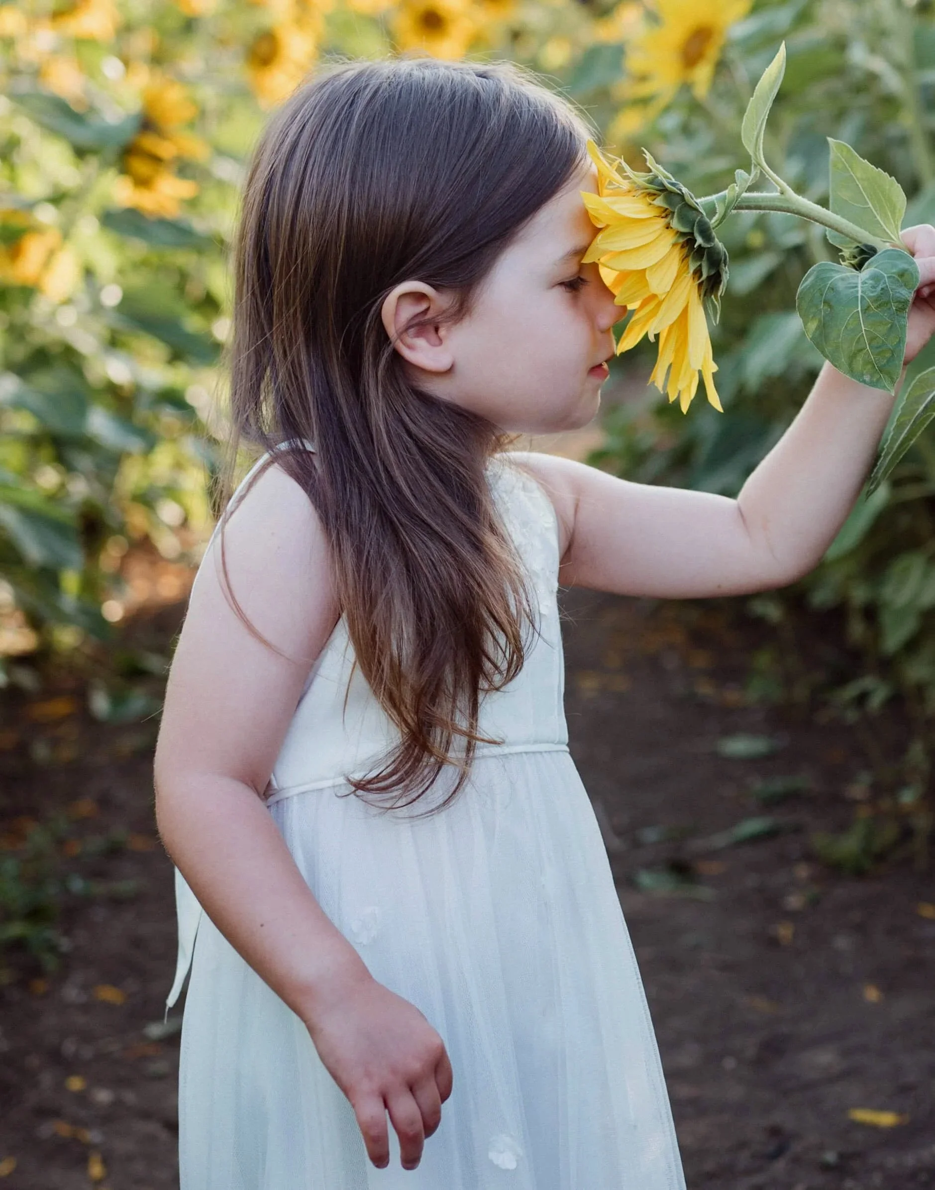 A young girl with long brown hair smelling a yellow sunflower in a garden.