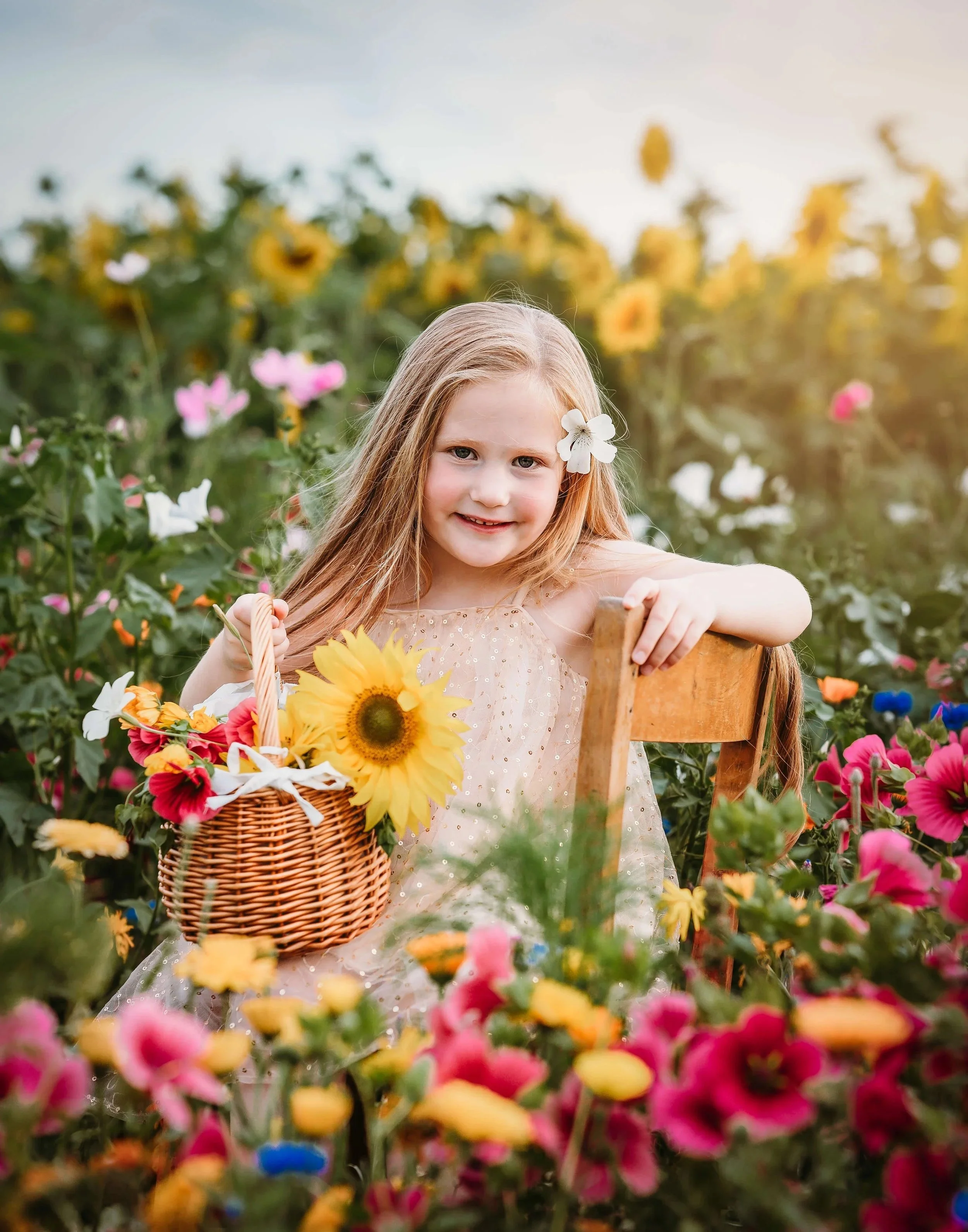 Sunflower photography portrait session at Writtle Sunflowers Essex