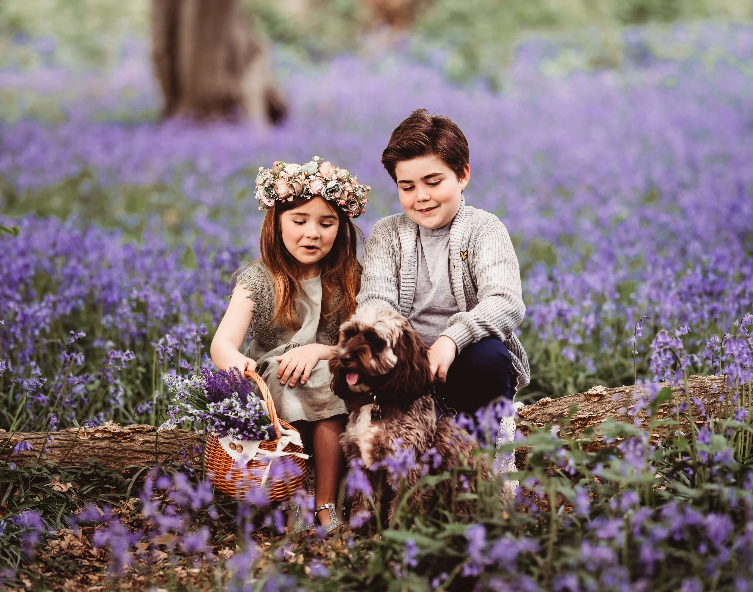Two children, a girl with a floral crown and a boy, sitting on a fallen log with a brown and white dog in a field of purple flowers.