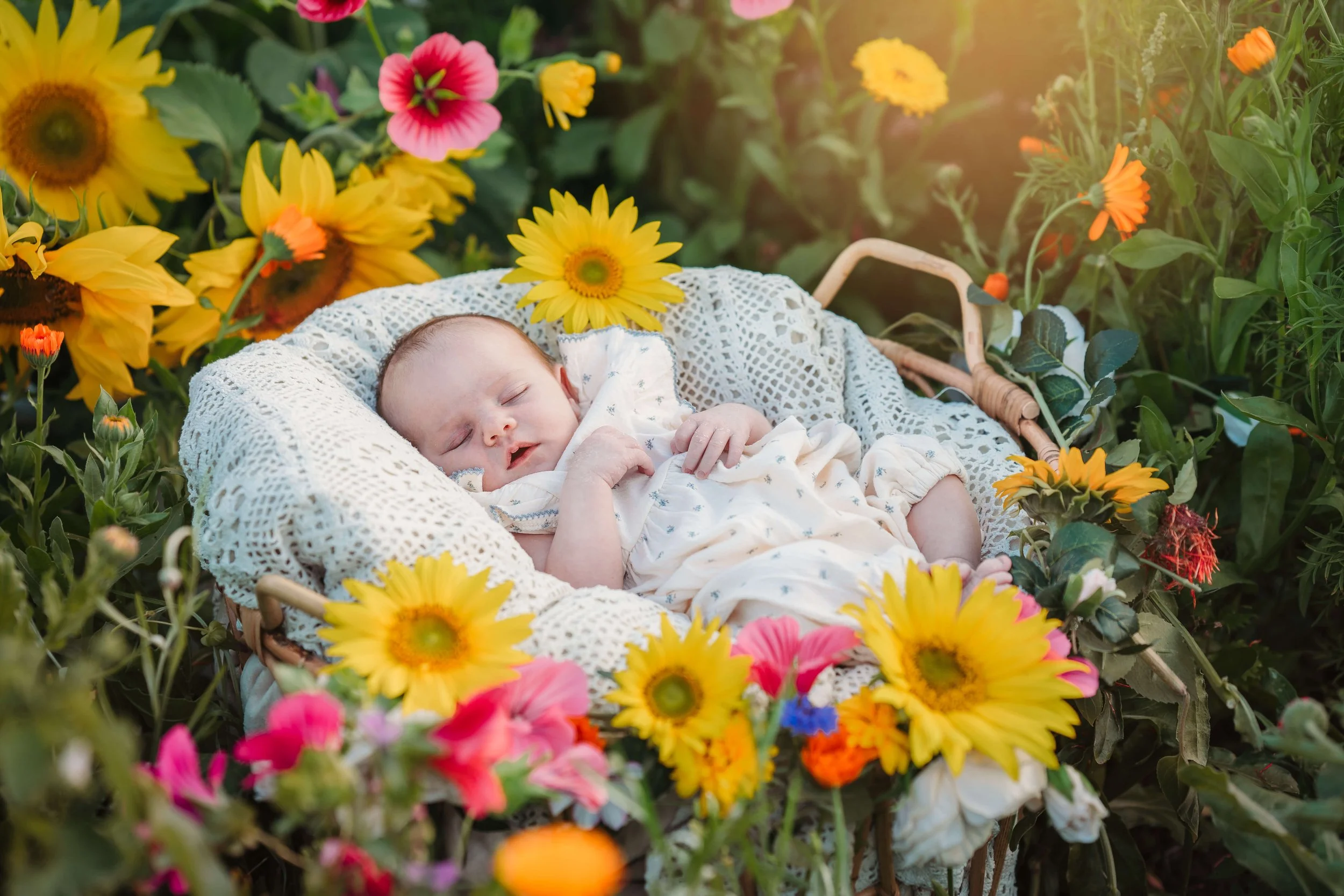 A baby sleeping in a basket surrounded by colorful flowers, including sunflowers, pink and orange blossoms, with sunlight shining through.