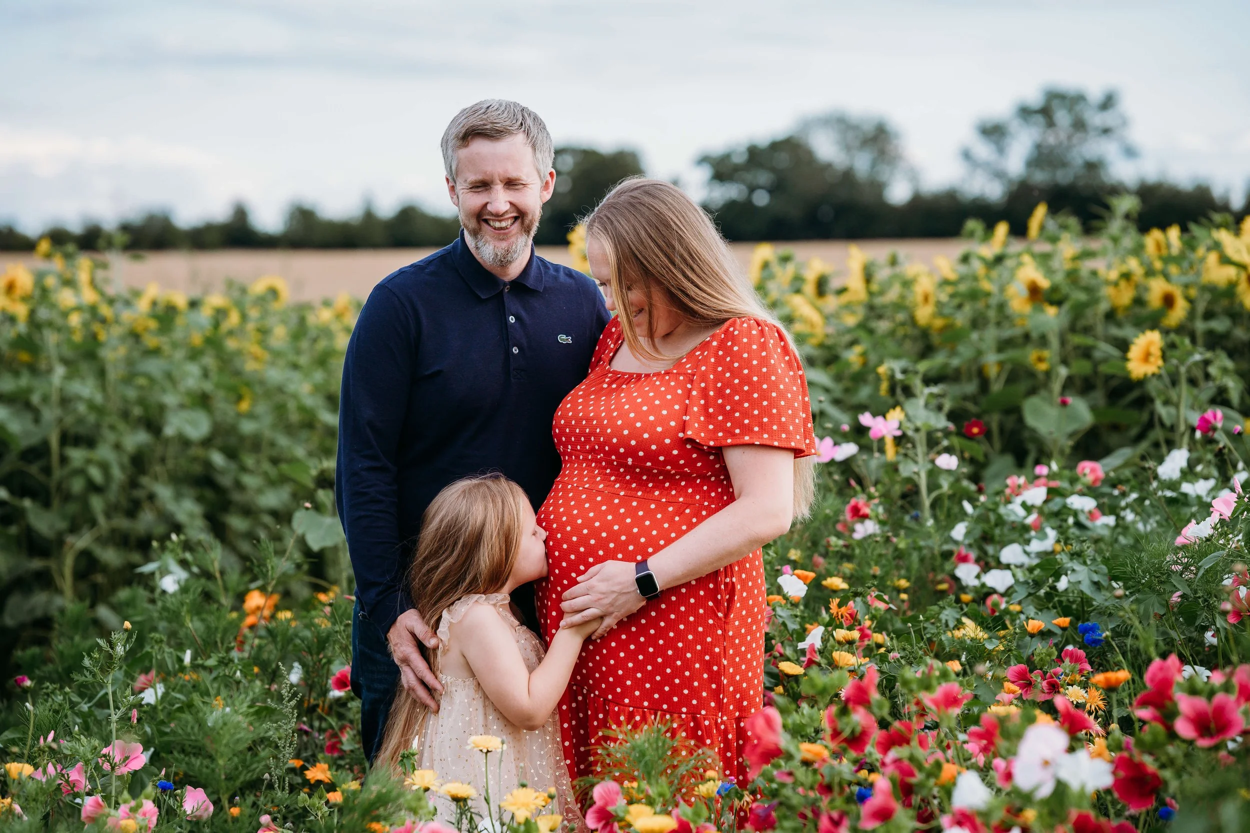 daughter kisses her mothers bump in sunflower field 
