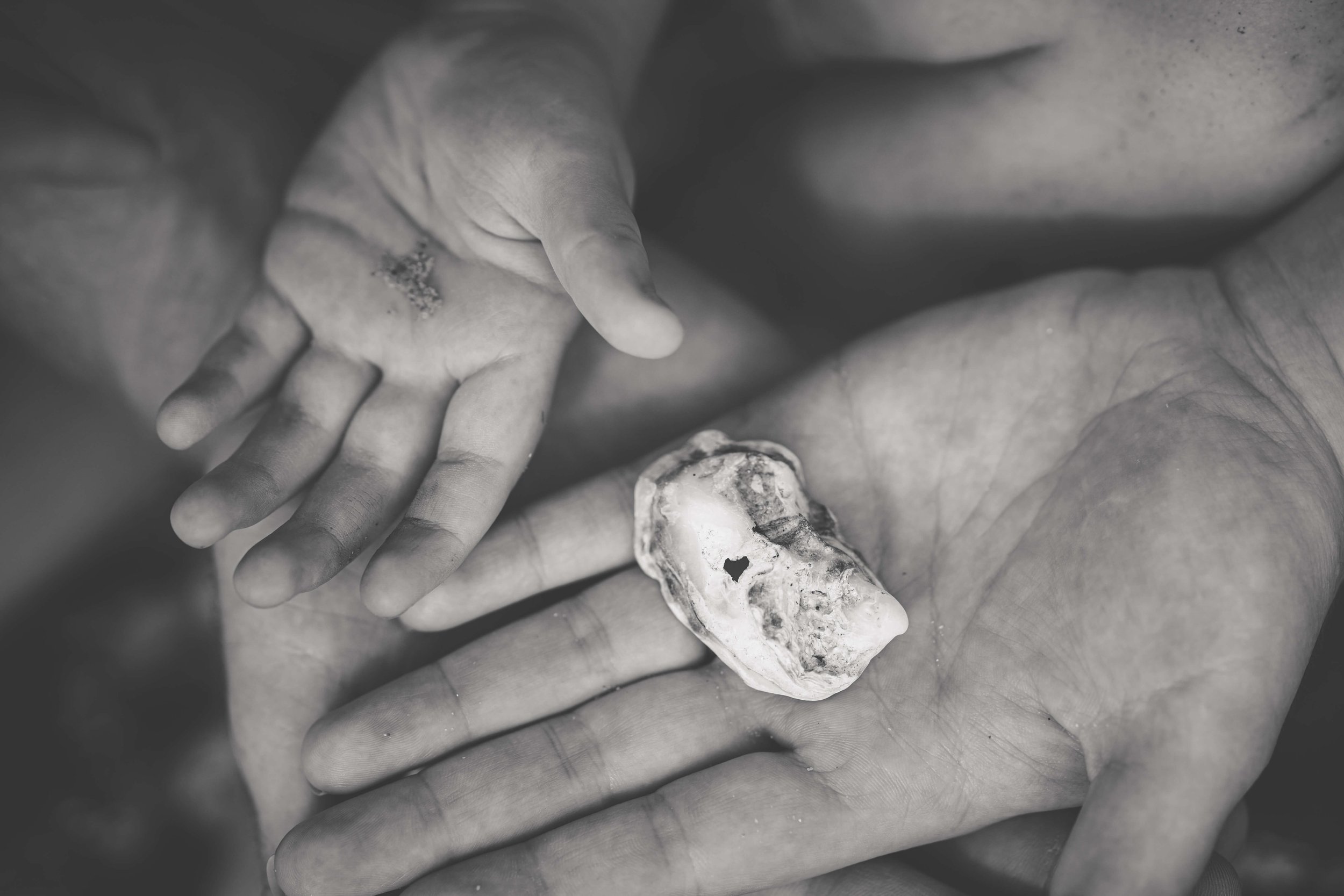 A close-up black-and-white photograph of a small child’s hand with dirt on it, resting on an adult's hand. An irregularly shaped stone or shell is placed on the adult's palm.