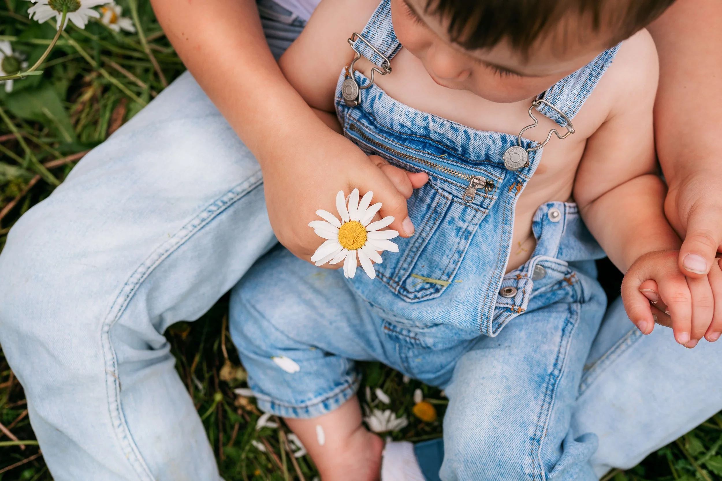 A young child sitting on an adult's lap outdoors, holding a daisy flower, wearing denim overalls with a small zipper pocket, surrounded by grass and flowers.