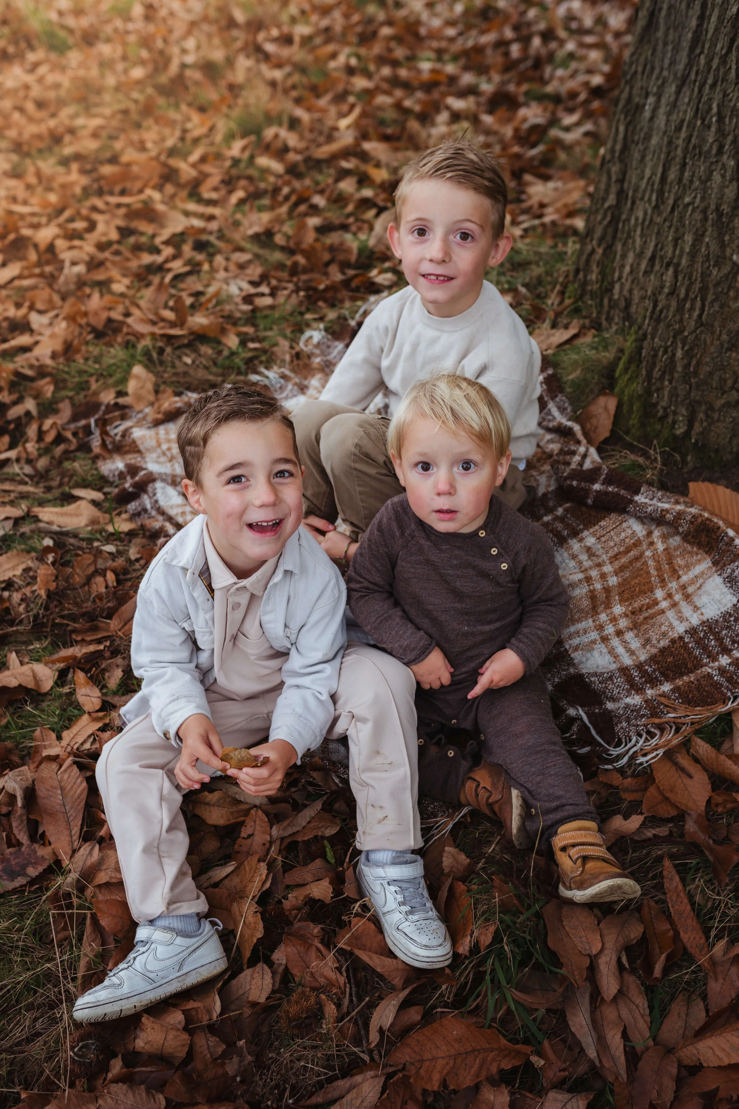 Three young boys sitting on a plaid blanket on the ground surrounded by fallen autumn leaves, near a tree trunk, in a woodland area.