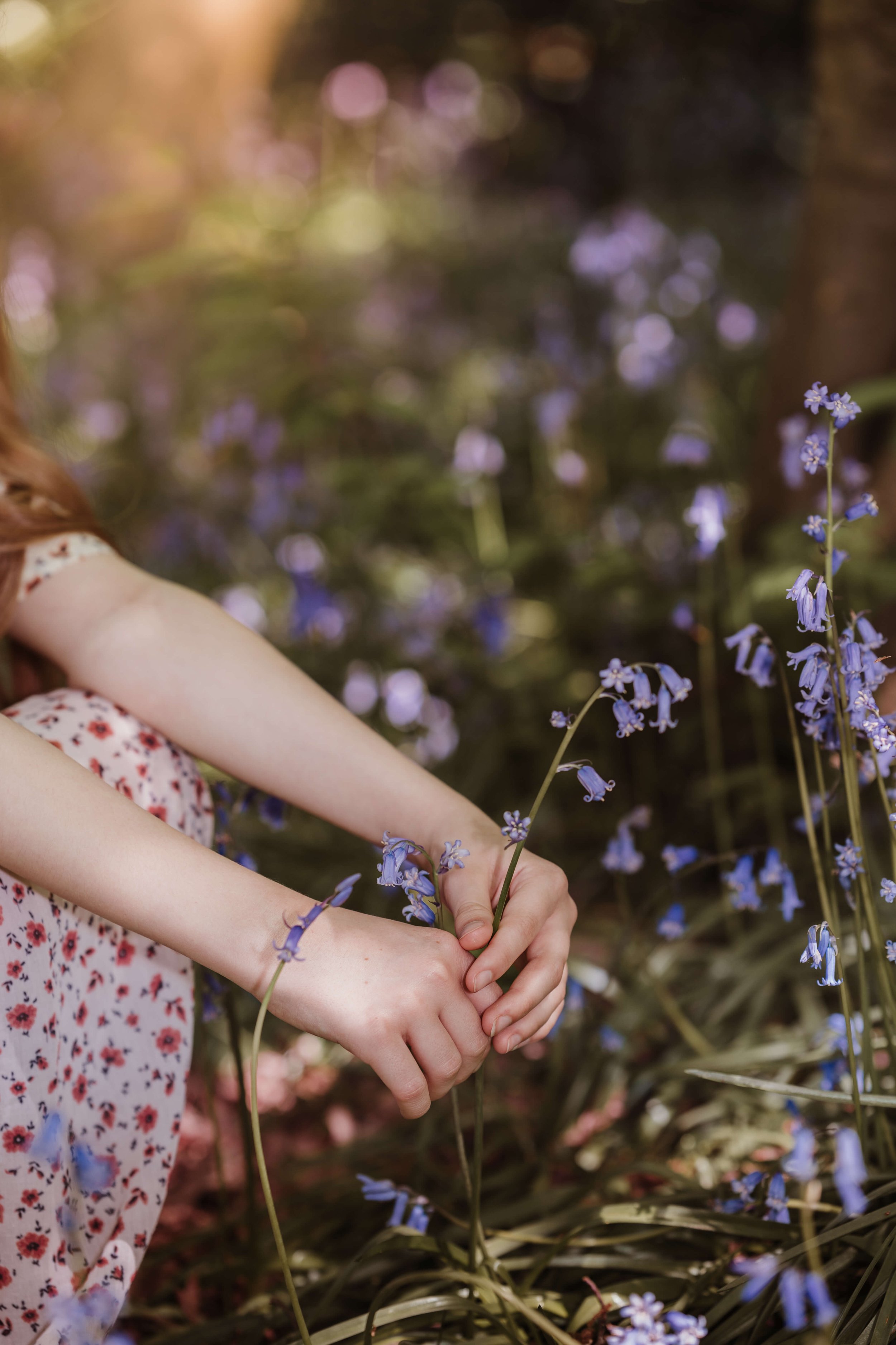 Child's hands holding blue flowers in a garden with soft focused purple flowers in the background.