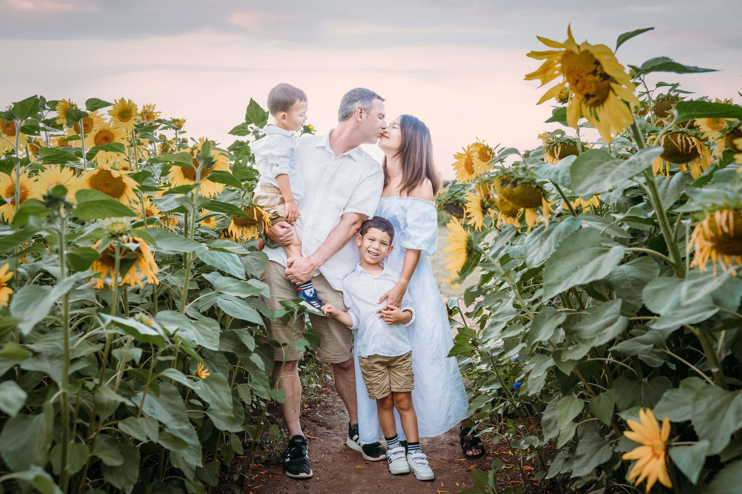 A family of five in a sunflower field, with the parents kissing and their three children smiling and hugging, during sunset.