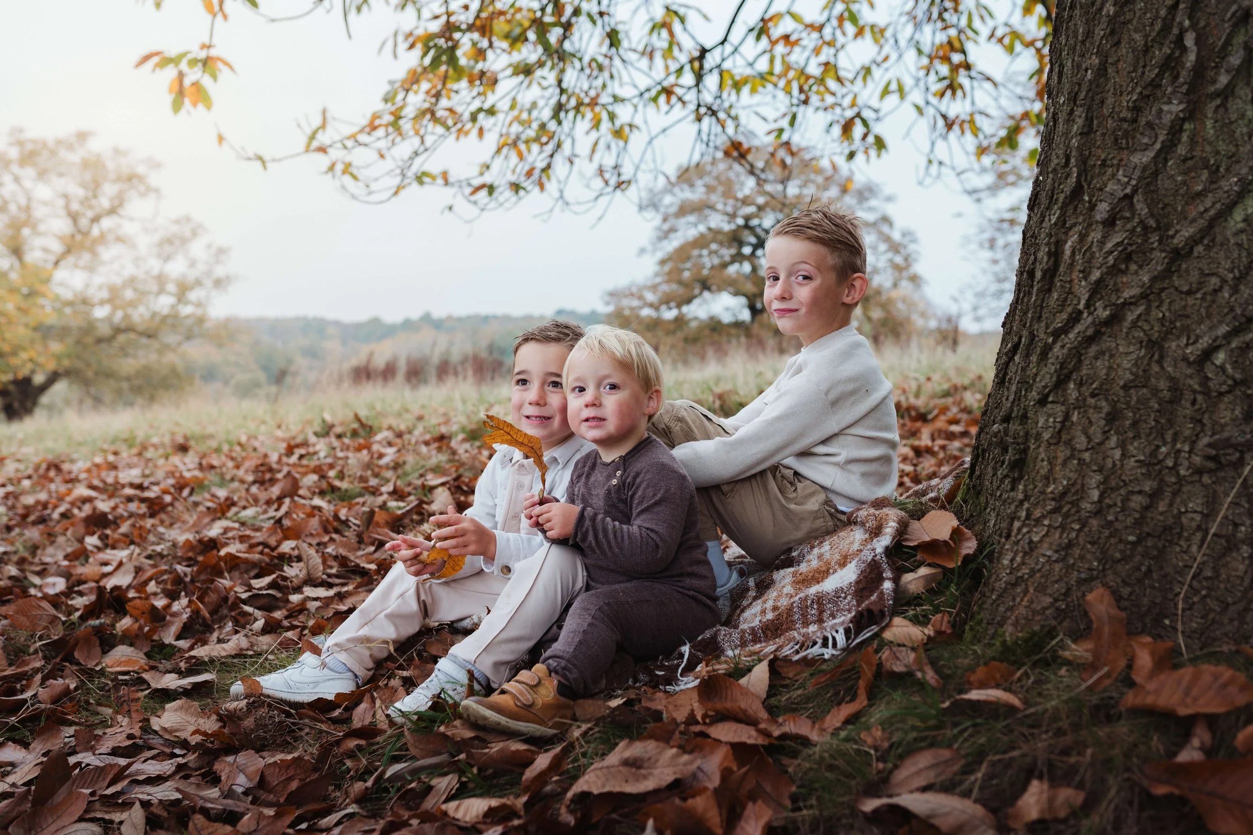 Three young boys sitting under a large tree in an autumn landscape, surrounded by fallen leaves, with a fall-colored forest and overcast sky in the background.