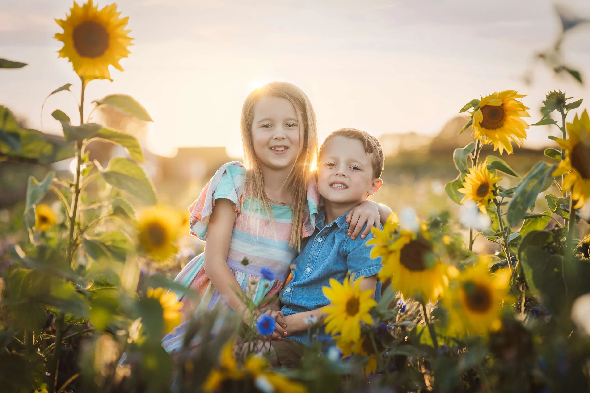 A girl and a boy smiling and hugging in a sunflower field during sunset.
