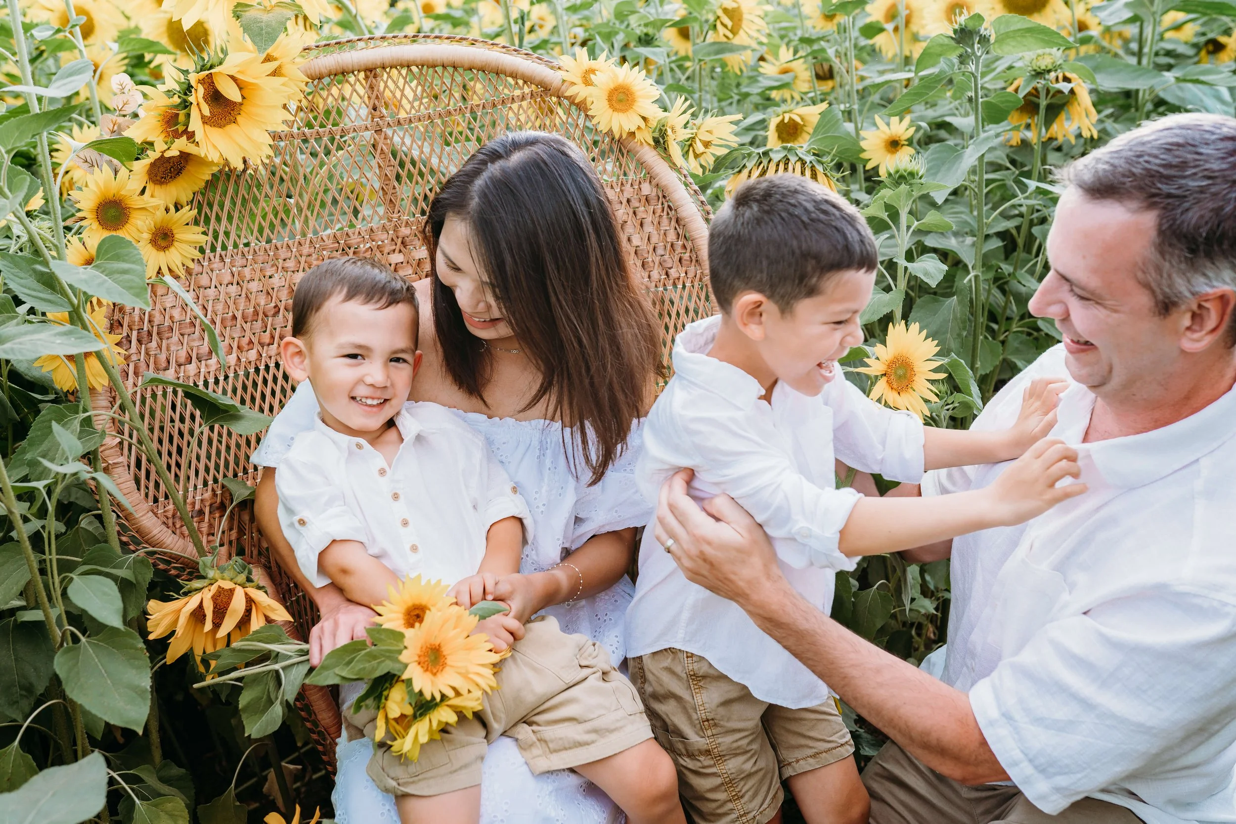 A family of four, including a woman, a man, and two young boys, enjoying and laughing in a sunflower field. They are sitting on a woven chair surrounded by tall sunflowers.
