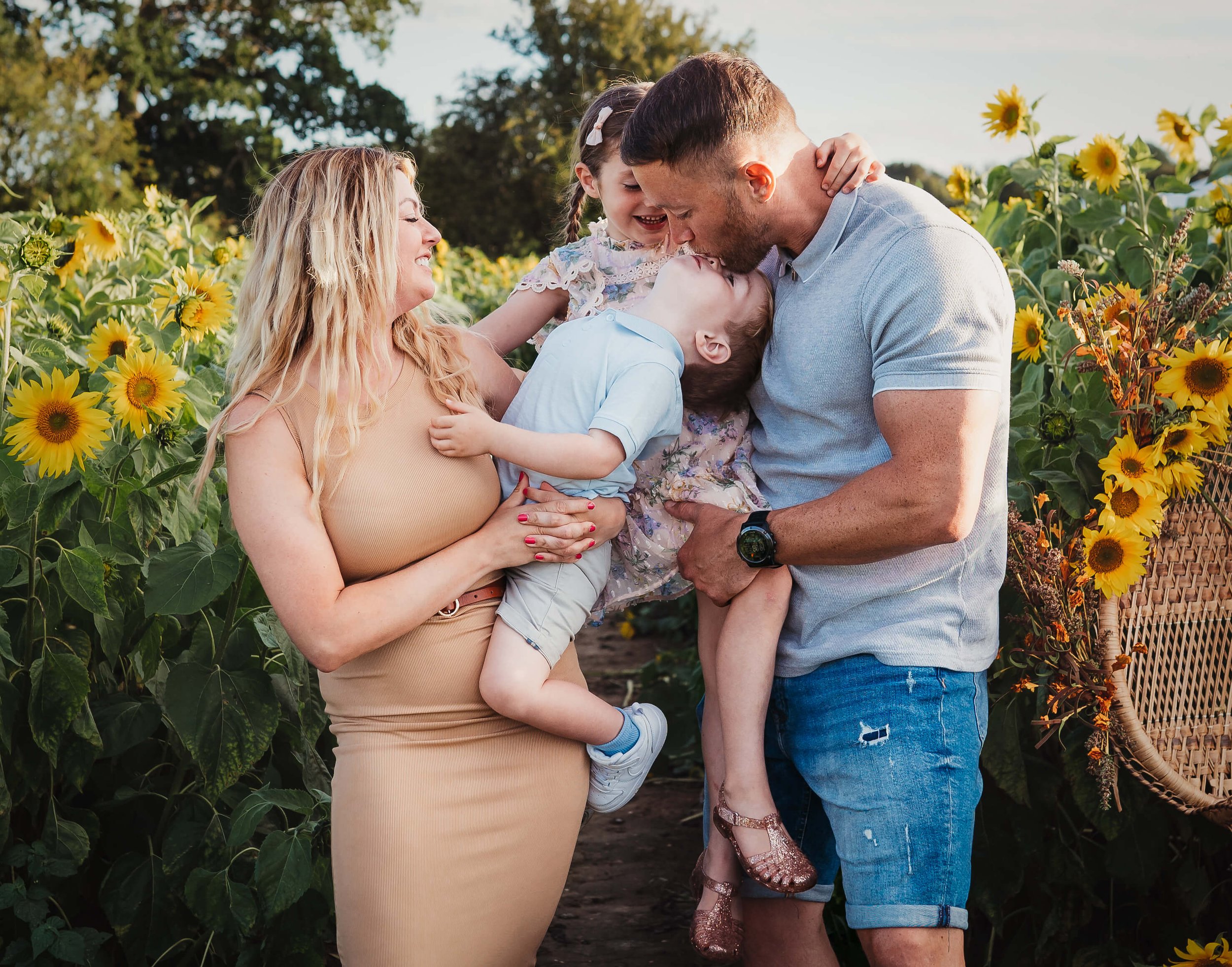 A family of four sharing a joyful moment in a sunflower field. The mother and father each hold a child while the children kiss the parents on the lips. Sunflowers surround them as they smile and laugh at each other.