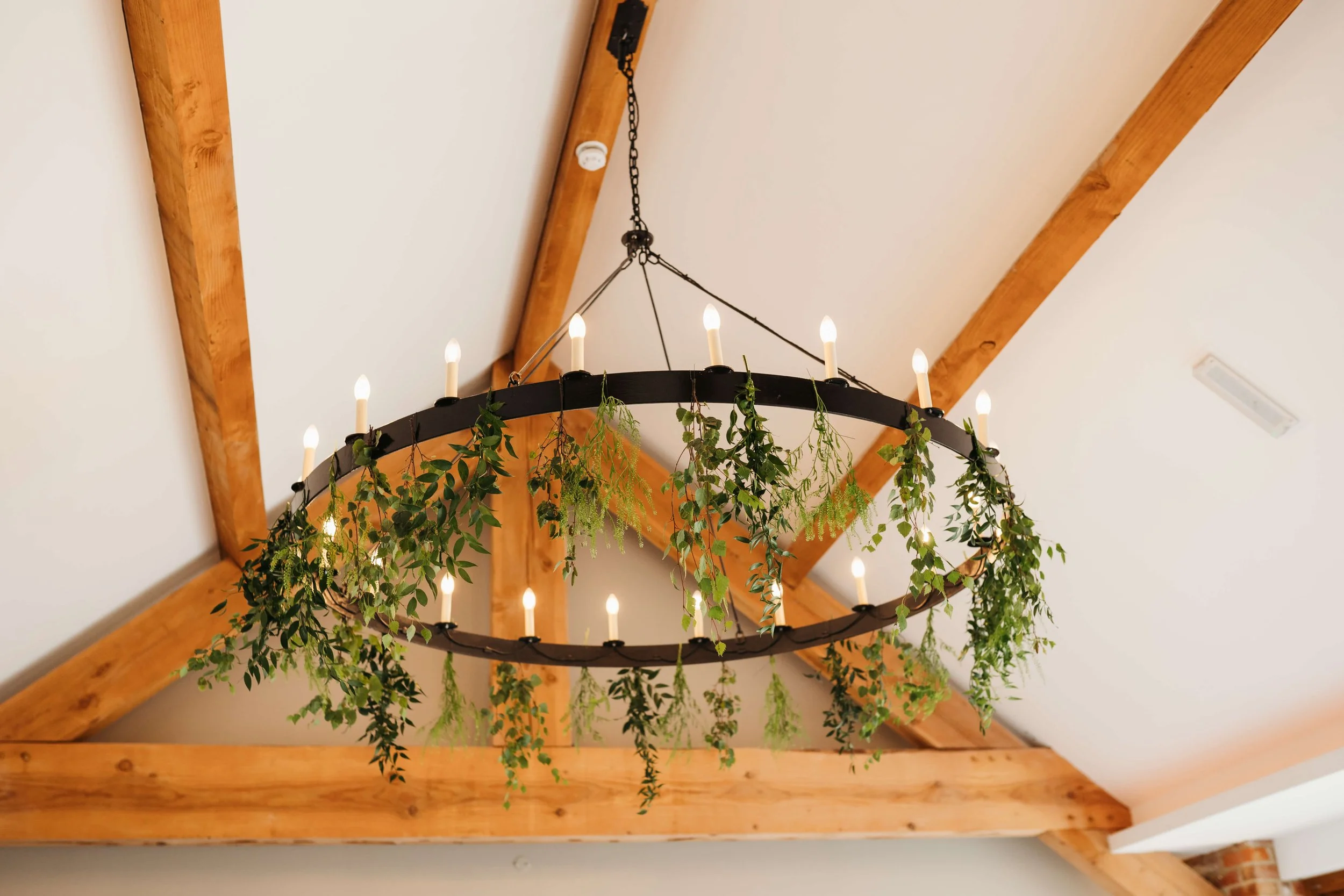 A circular chandelier with candle-shaped lights, decorated with green hanging plants, hangs from a ceiling with exposed wooden beams.