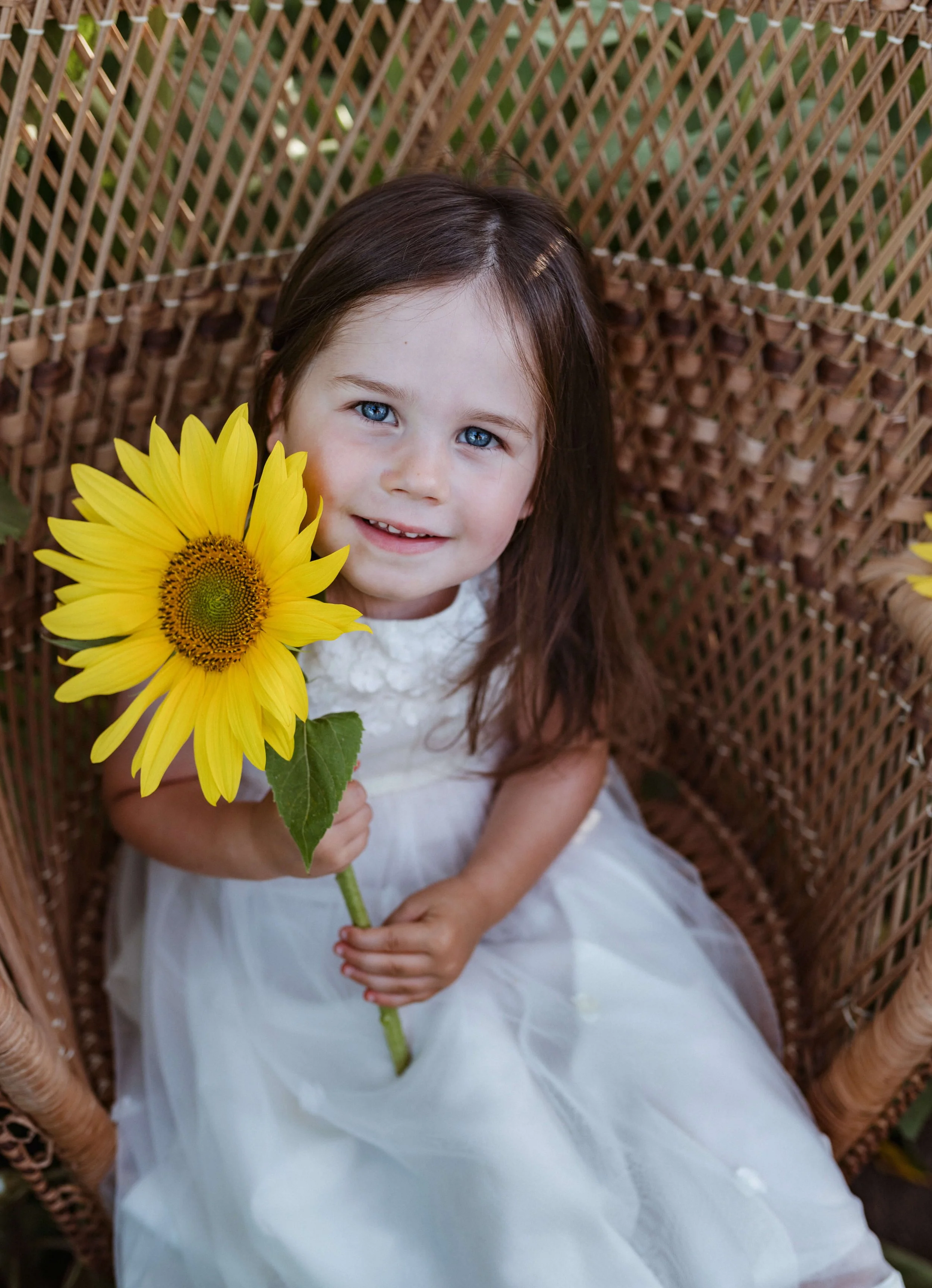 A young girl with long brown hair and blue eyes sitting in a wicker chair, wearing a white dress, holding a large yellow sunflower, and smiling at the camera.