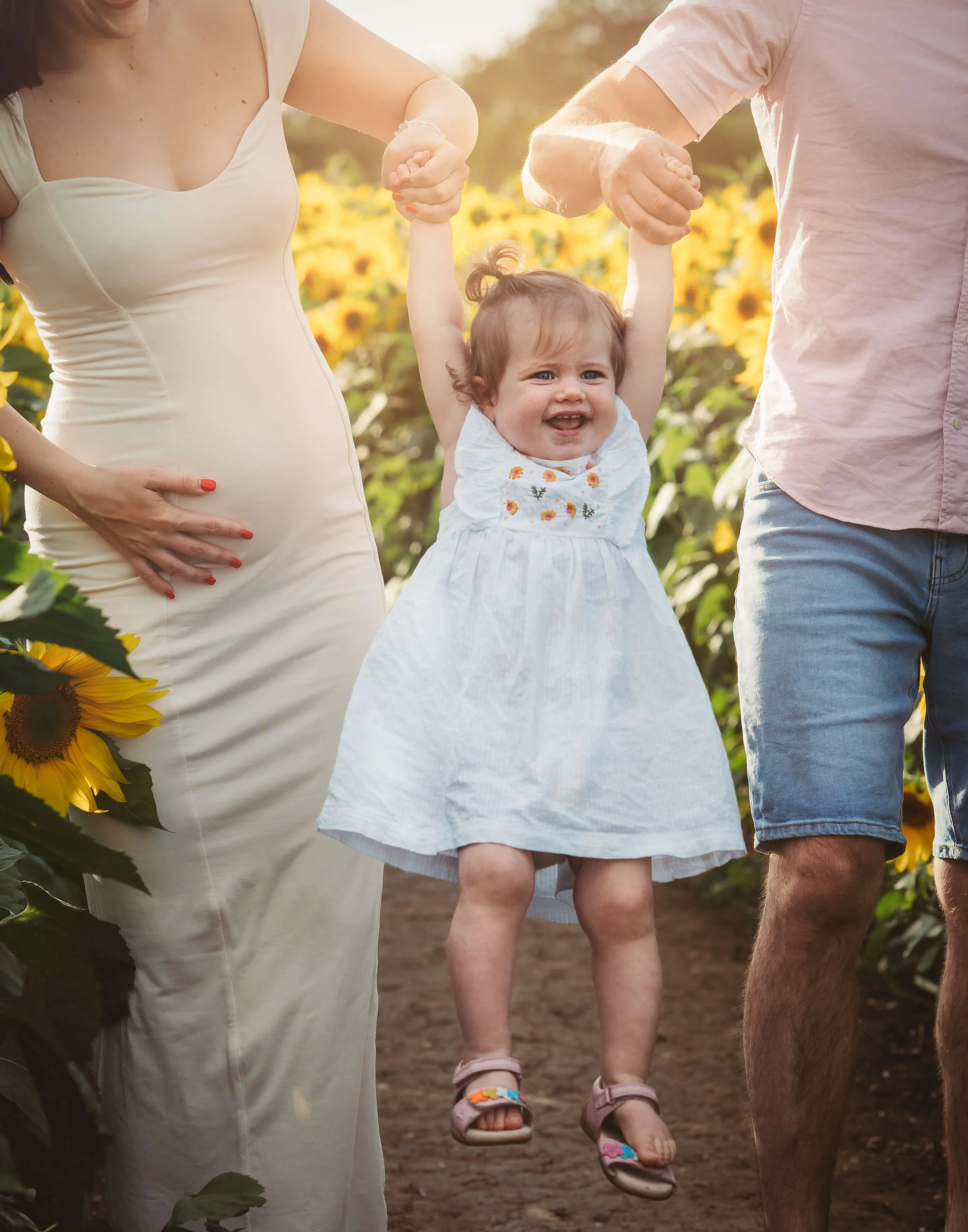 mum and dad lifting daughter in air in sunflower field mum is touching her pregnant belly