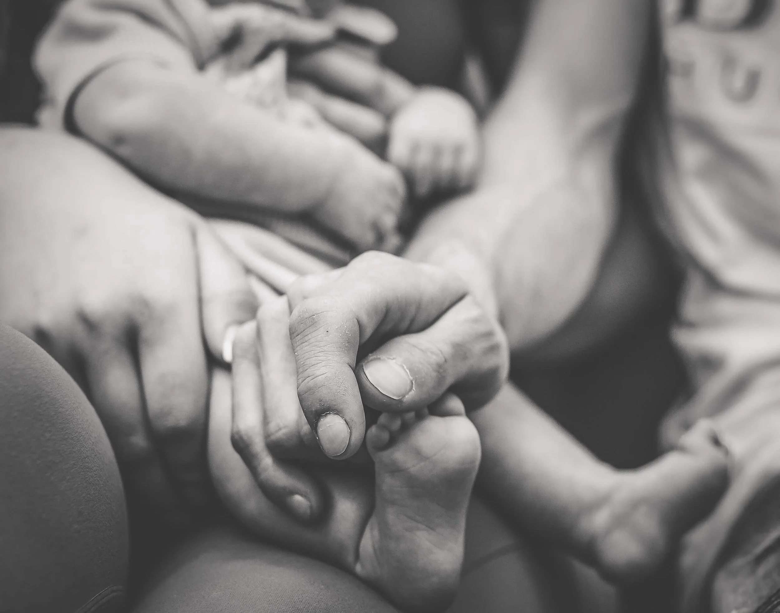 parents and babies hands and feet 