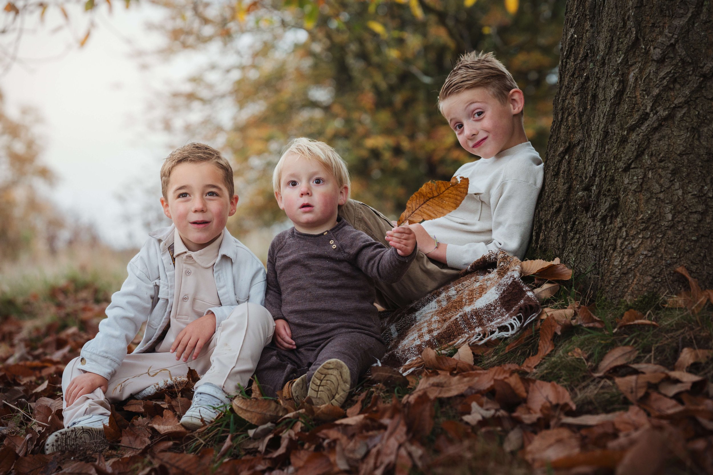 Three young boys sitting outdoors among fallen autumn leaves near a tree, with one holding a leaf and the others looking surprised or curious.