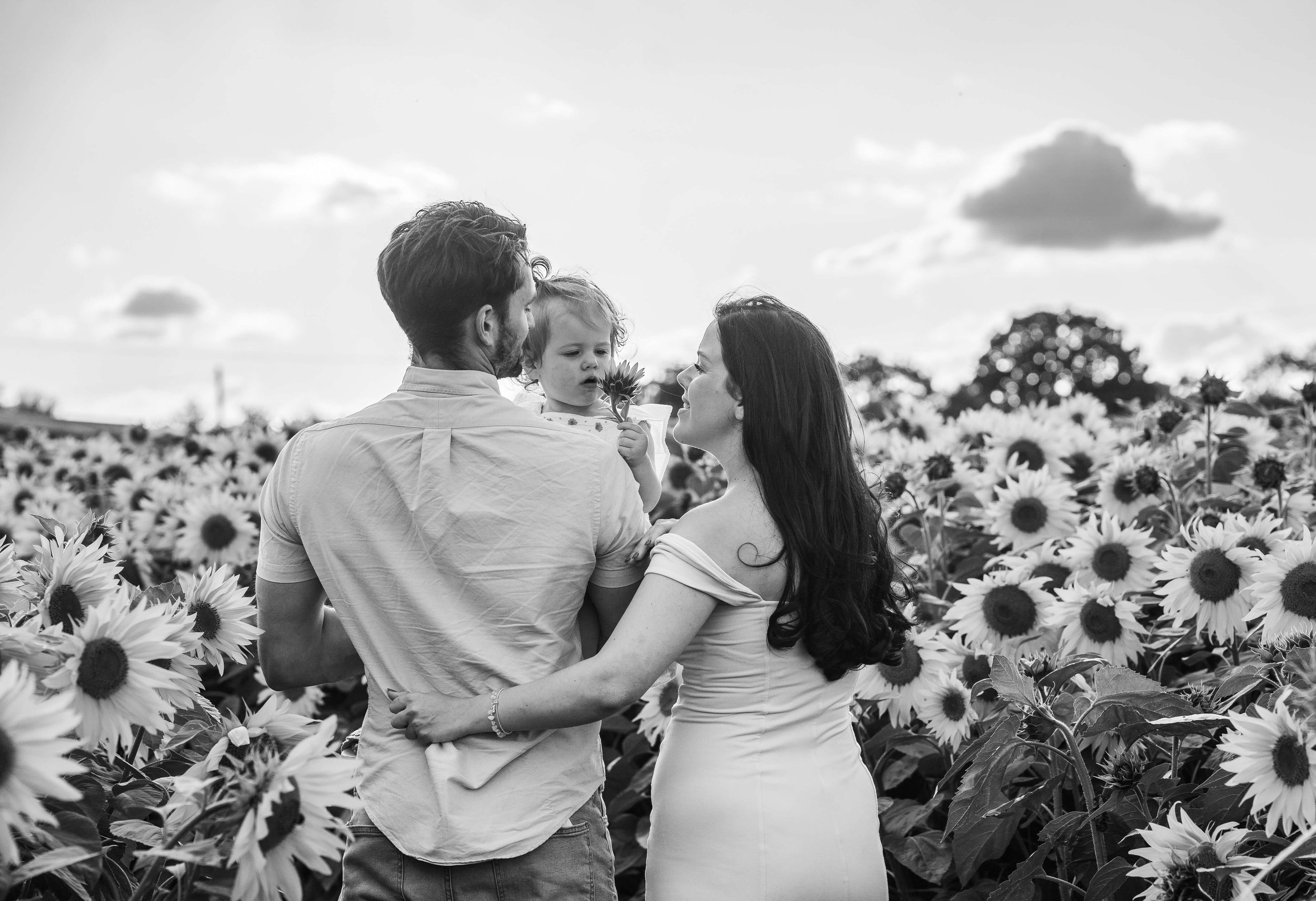 A family of three standing in a sunflower field, with a man holding a child and a woman standing beside them, all engaged in a tender moment during the daytime.