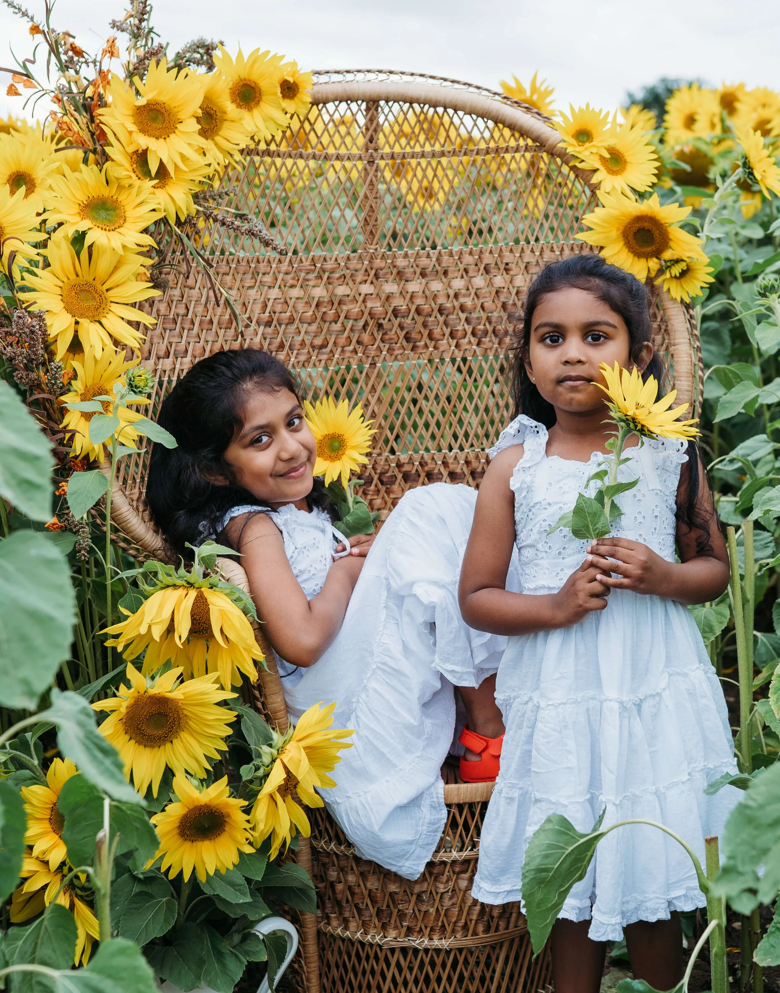 Two young girls in white dresses sitting and standing in a sunflower field surrounded by yellow sunflowers, with one girl sitting on a wicker chair and the other standing holding a sunflower.
