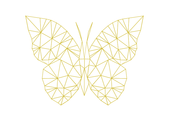 Butterfly Camp