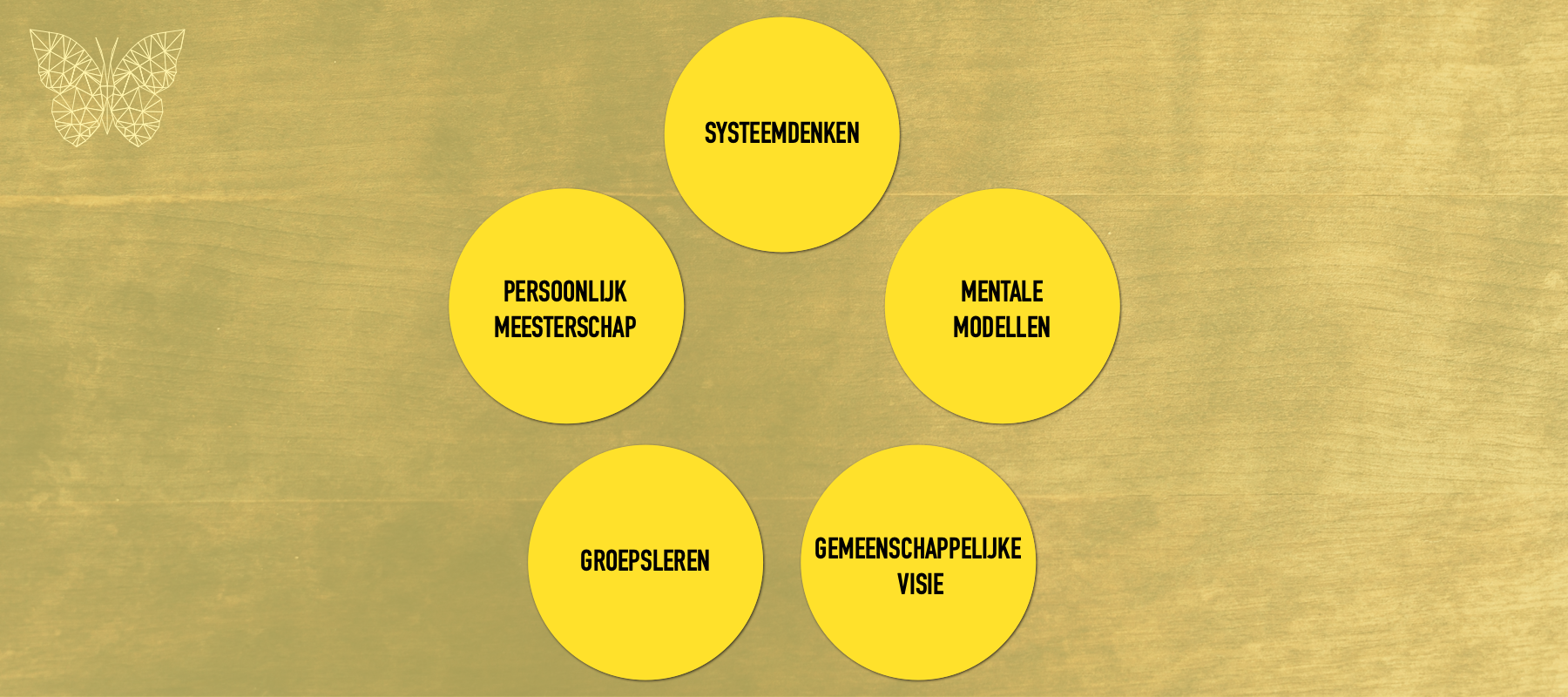 De Vijf Disciplines Van De Lerende Organisatie Butterfly Camp