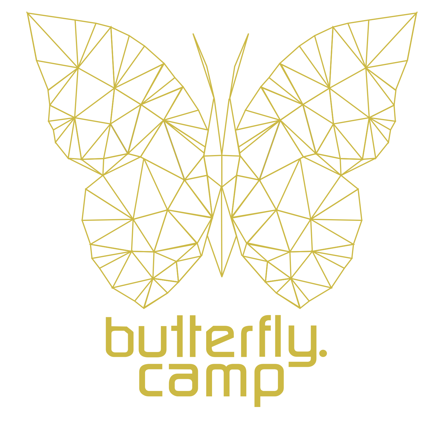 Butterfly Camp