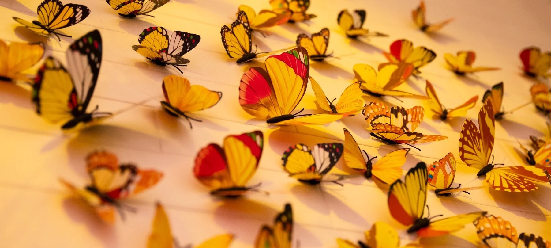 Jawel, we hebben een visie