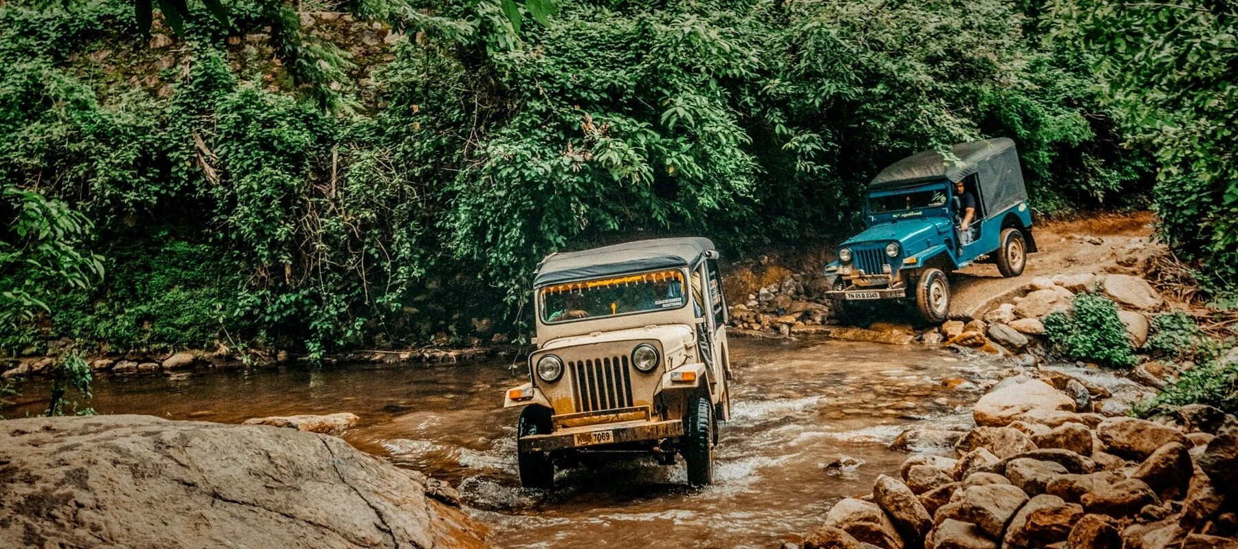 Organisaties als complexe systemen