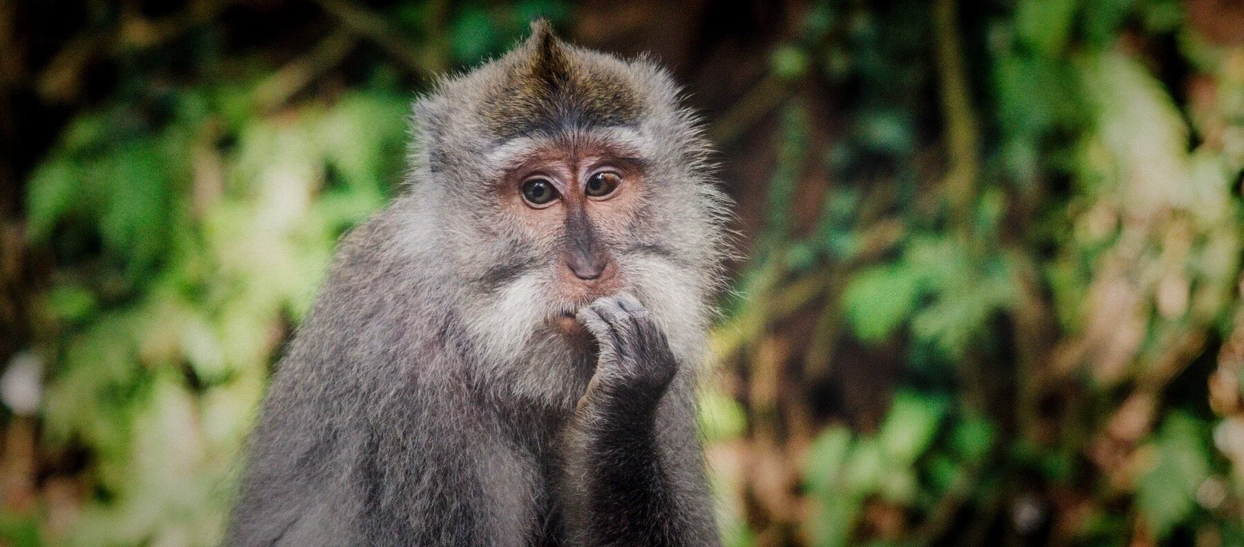Twijfel is toegelaten