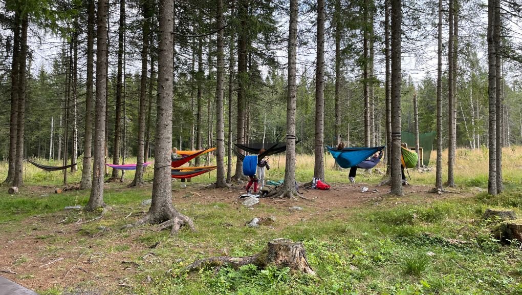 Over skog og heiberg | Barnebursdag | middagslur