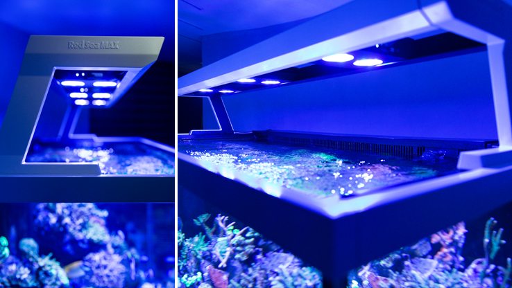 Red Sea MAX S-Series Reef Systems — The Fish Tank