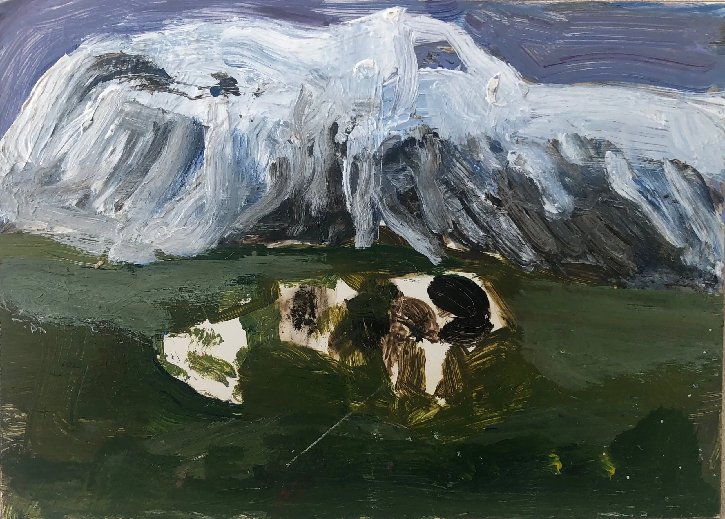 Icelandic Ponies