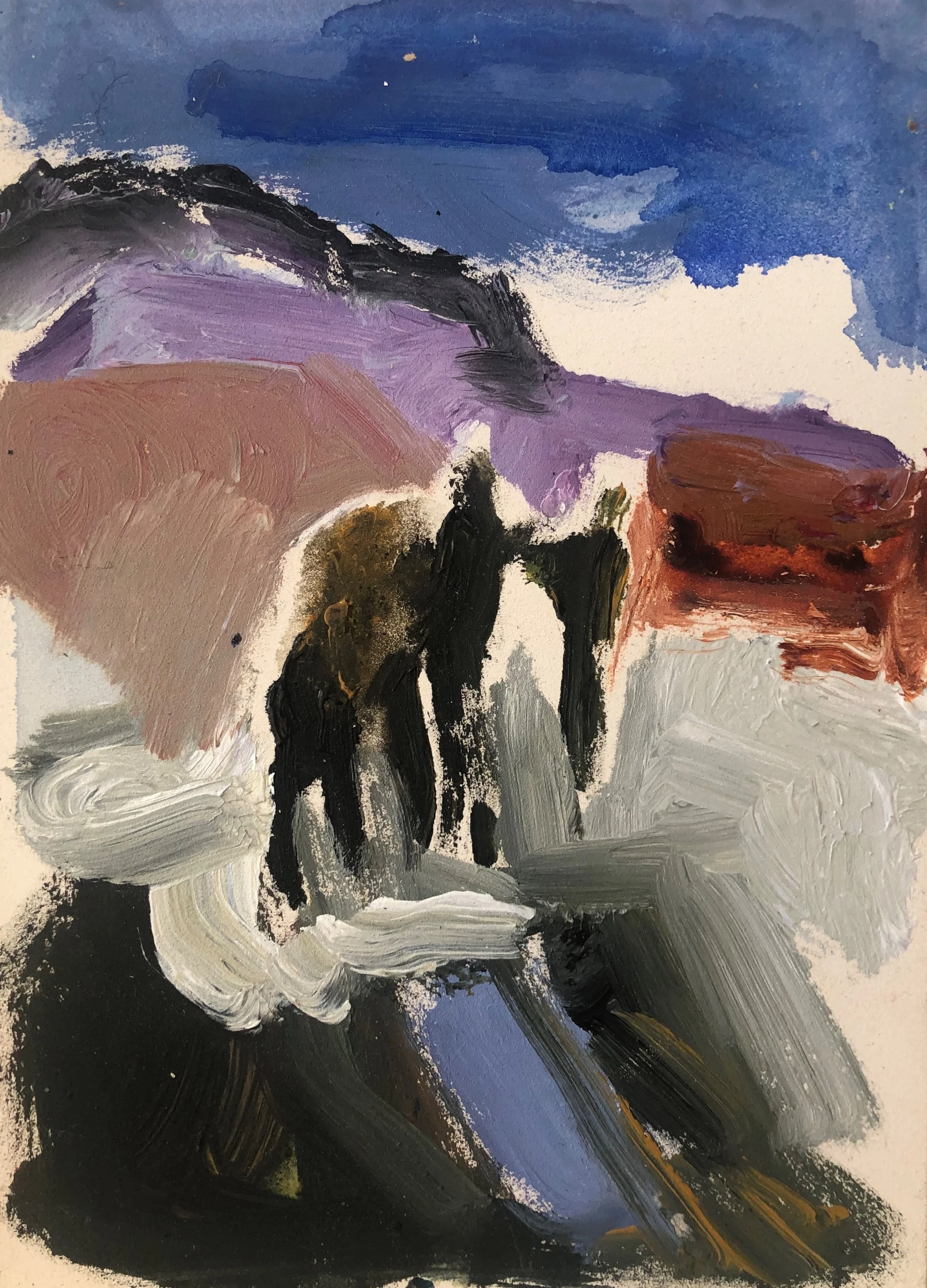 Icelandic Riders