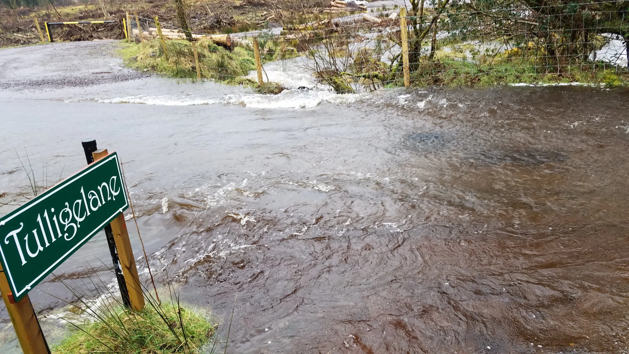 20180314_114008.jpg
