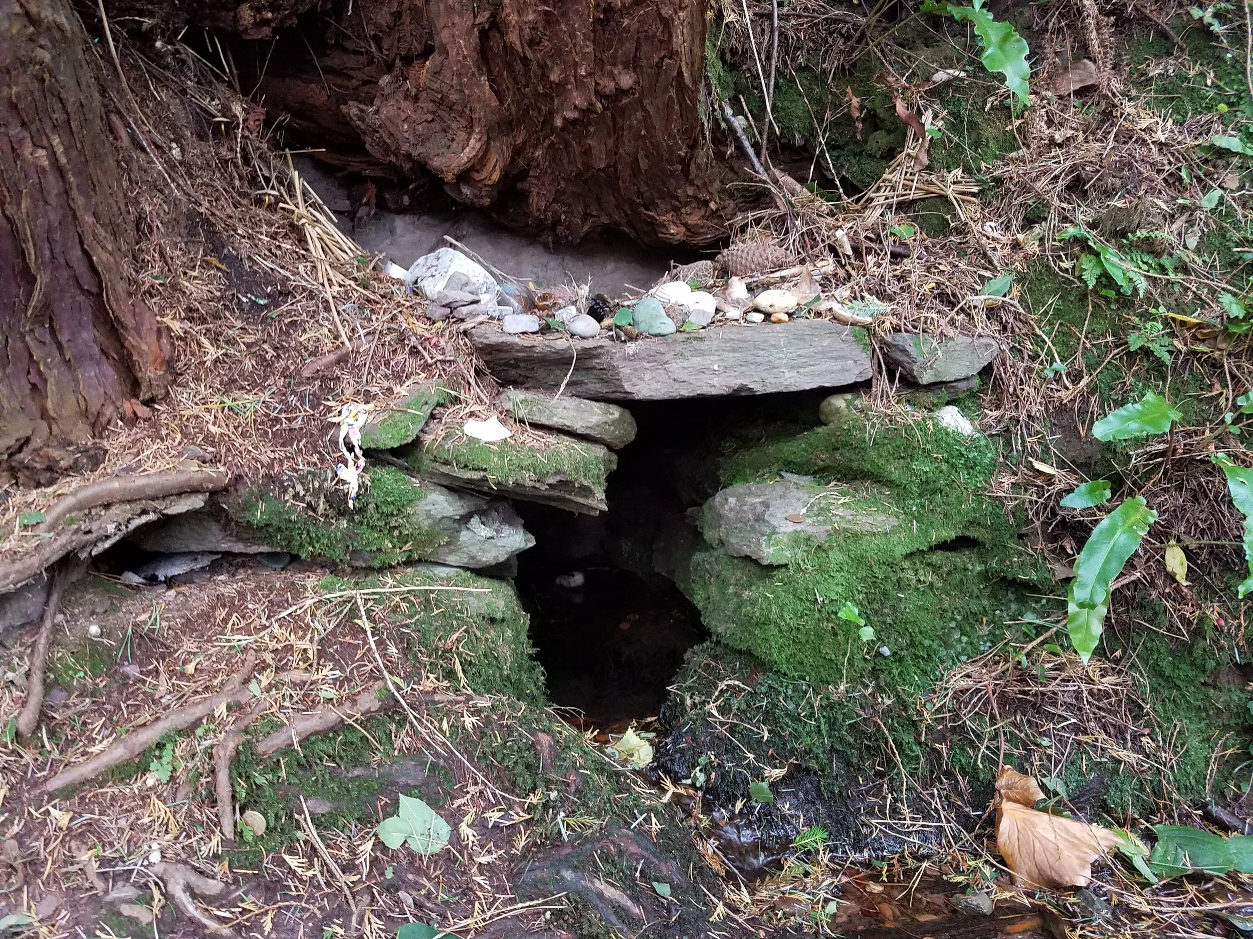 20180919_123812.jpg